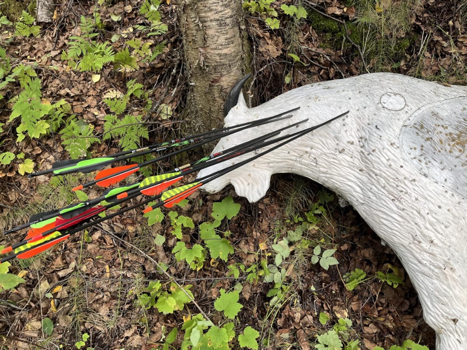 Sanlida Dragon X9 Ready to Hunt Compound Bow Kit for Adults, Archery Hunting Bow Package with 12 Carbon Arrows, Adjustable up to 70 lbs, No Bow Press Needed, Right Hand Only customer photo 1
