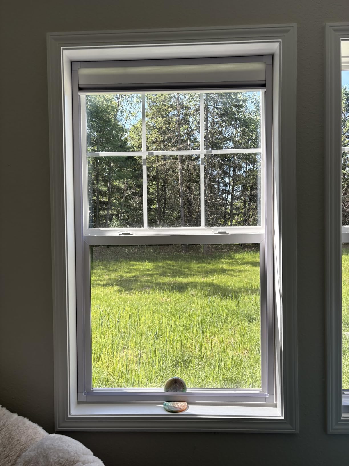 Hoeflife Cellular Shades Cordless Blackout, Skylight Blinds for Windows Roof Window Shades for Home, Room Darkening Honeycomb Blinds for Doors - Custom Cut to Size(Blackout, Black) customer photo 1