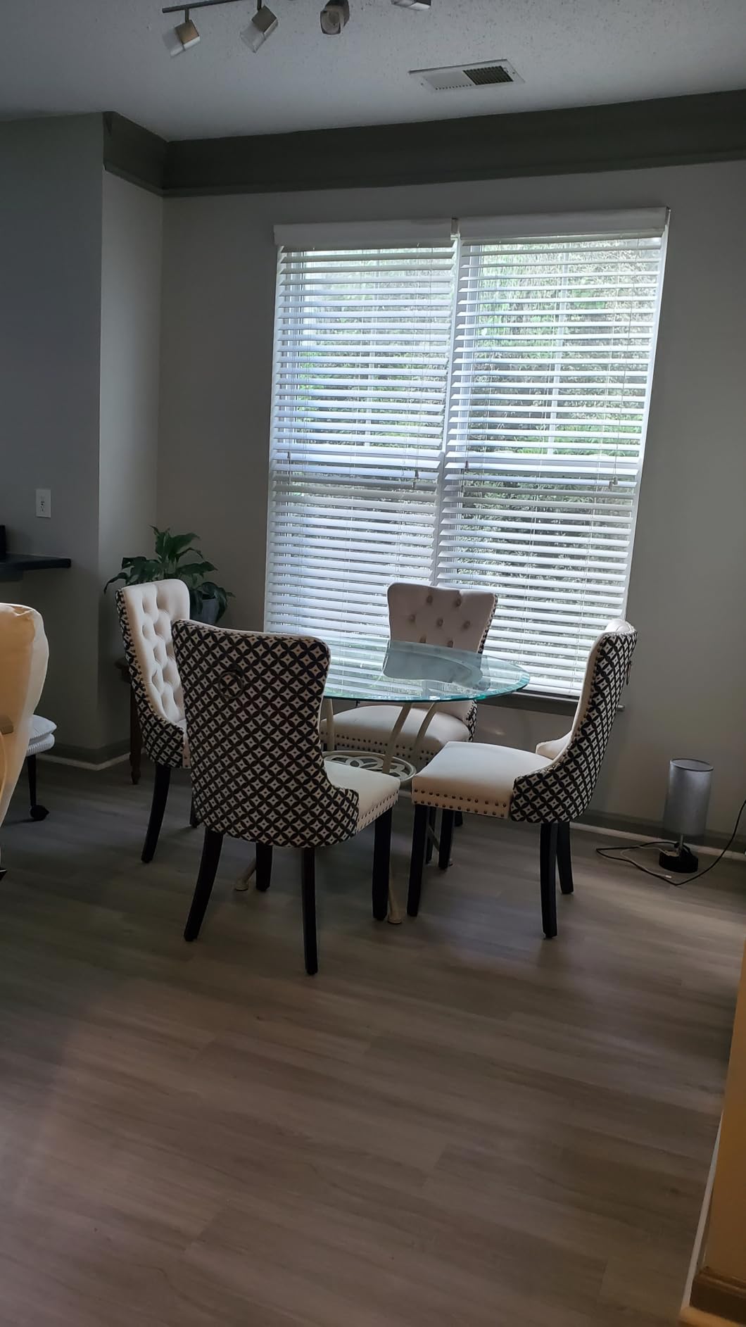 Blue Velvet Dining Chairs Set of 4, Tufted Kitchen & Dining Room Chairs customer photo 1