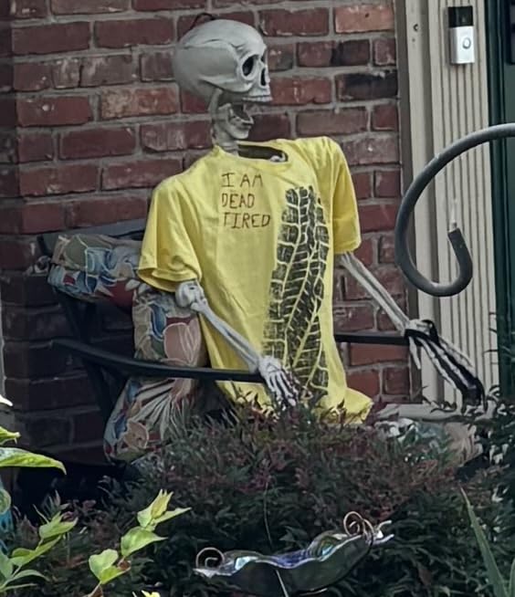 JOYIN 5.6 FT Halloween Posable Life Size Skeleton, Full Body Realistic Bones with Movable Joints, Giant Skeletons Halloween Decorations for Indoor Outdoor Haunted House Props, Spooky Scene Party Decor customer photo 1
