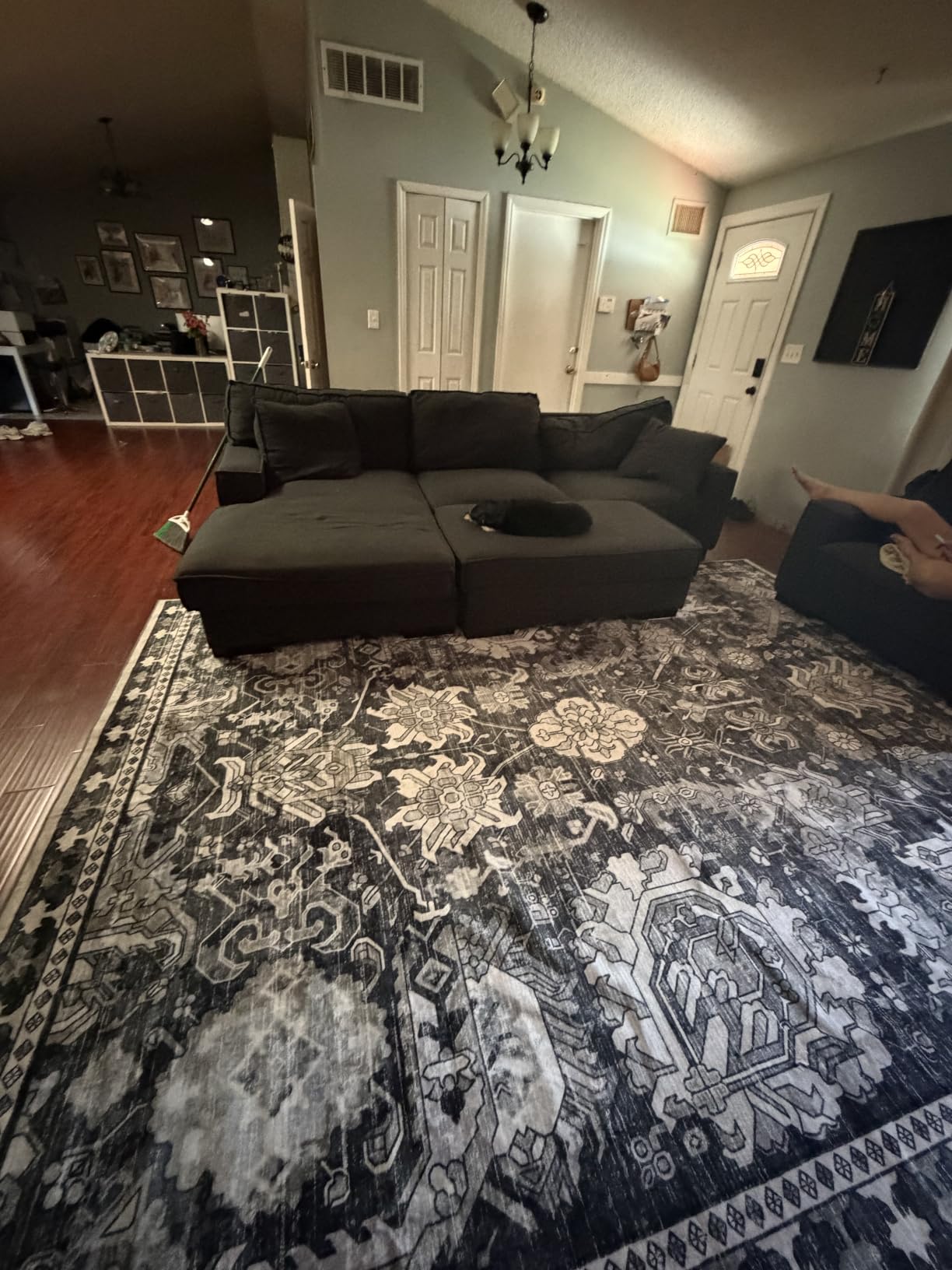 RUGSURE Washable Area Rugs - Perfect for Living Room, Bedroom, Kids Room, Nursery - Stain & Water Resistant Non-Slip, Pet & Child Friendly, Vintage Tribal Area Rugs (Green, 5' x 7') customer photo 2