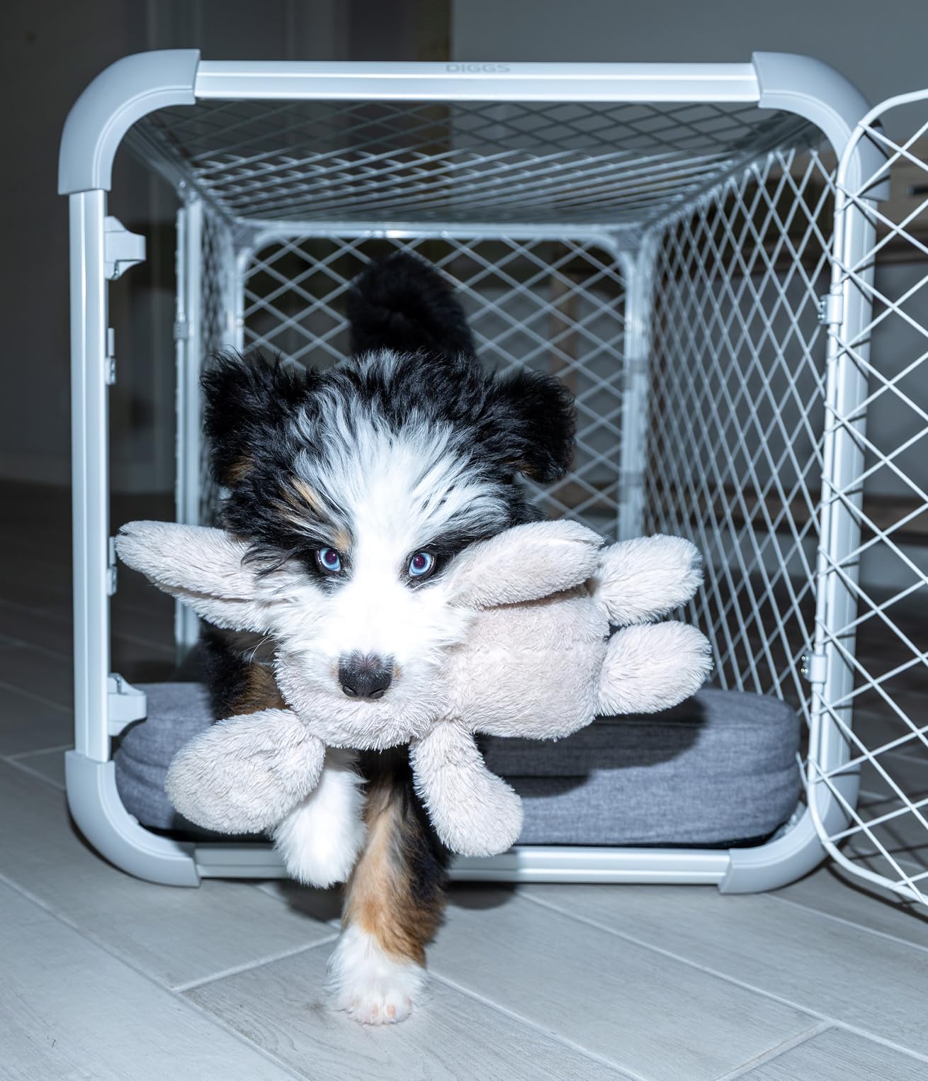 Diggs Evolv Modular Dog Crate for Dogs 18-22