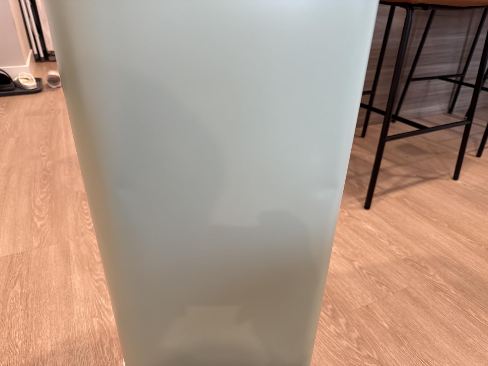 Diaper Genie Platinum Pail customer photo 2
