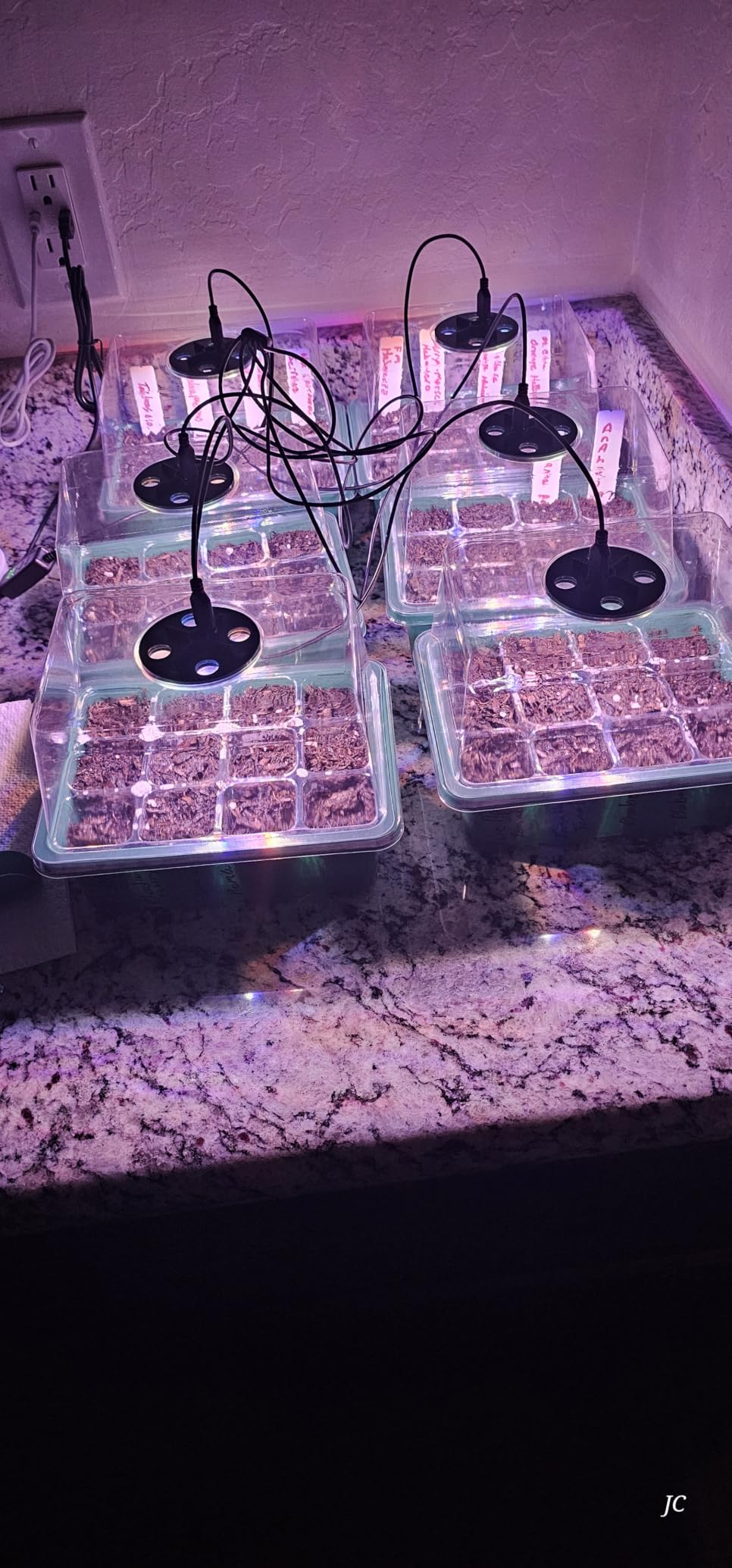 Seed Starter Trays with Grow Lights, 72 Cells Seed Starter Kit with Lights, 3 Lighting Mode, 4 Timing Set, Germination Kit for Seed Starting Trays, Seedling Starter with High Humidity Control Domes customer photo 2