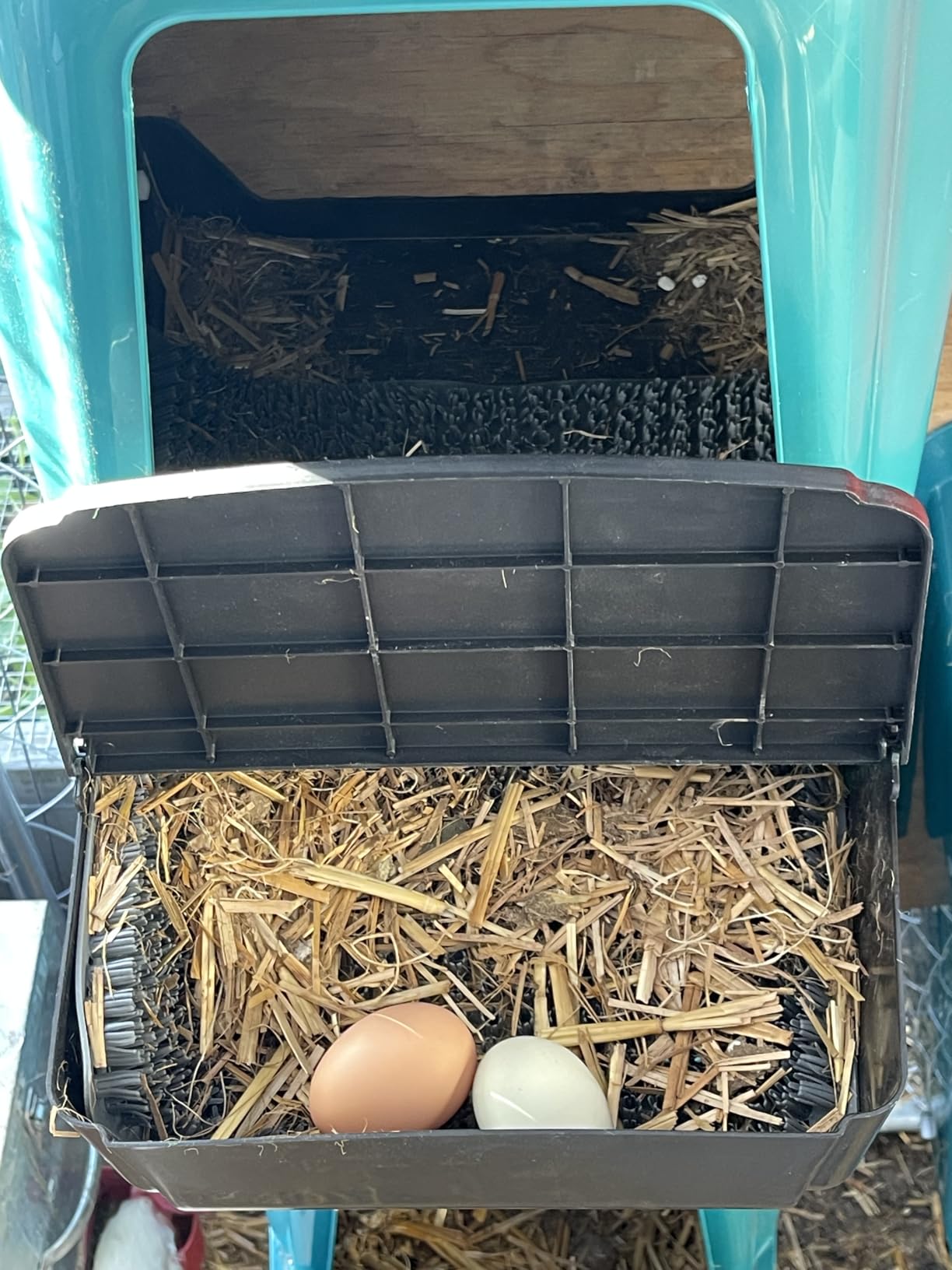 10‑Pack Chicken Nesting Boxes, Roll‑Out Egg Collection Chicken Laying Boxes, Large Waterproof Durable Nest Boxes Easy to Install for Chicken Coop customer photo 2