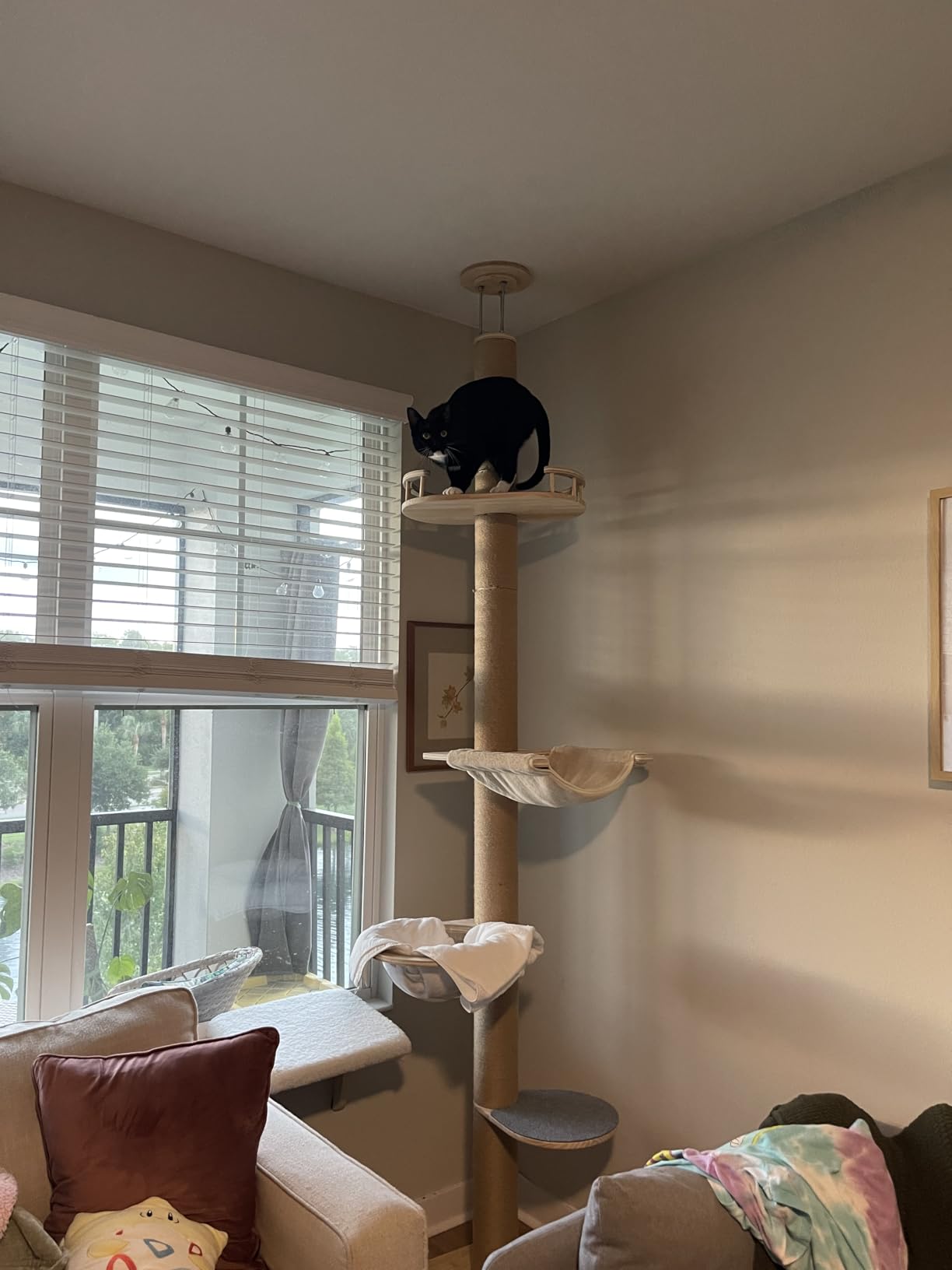 Floor to Ceiling Cat Tree Height (50-120.5in) Adjustable Cat Tower 5 Tier Hemp Scratching Post High Cat Tree Sturdy Activity Tree Indoor Outdoor Cat Scratching Post Activity Center customer photo 1