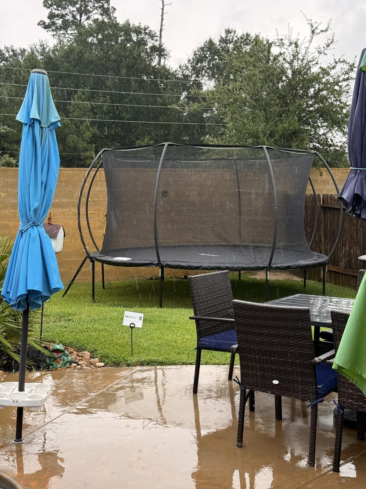 JoyBerri Outdoor Trampoline – with LED Lights, Net, Ladder, ASTM Certified | 8Ft 10Ft 12Ft 14Ft 15Ft 16Ft, 450lb capacity, kids & adults, anti-rust steel, net + ladder + stakes, 5-year protection customer photo 2