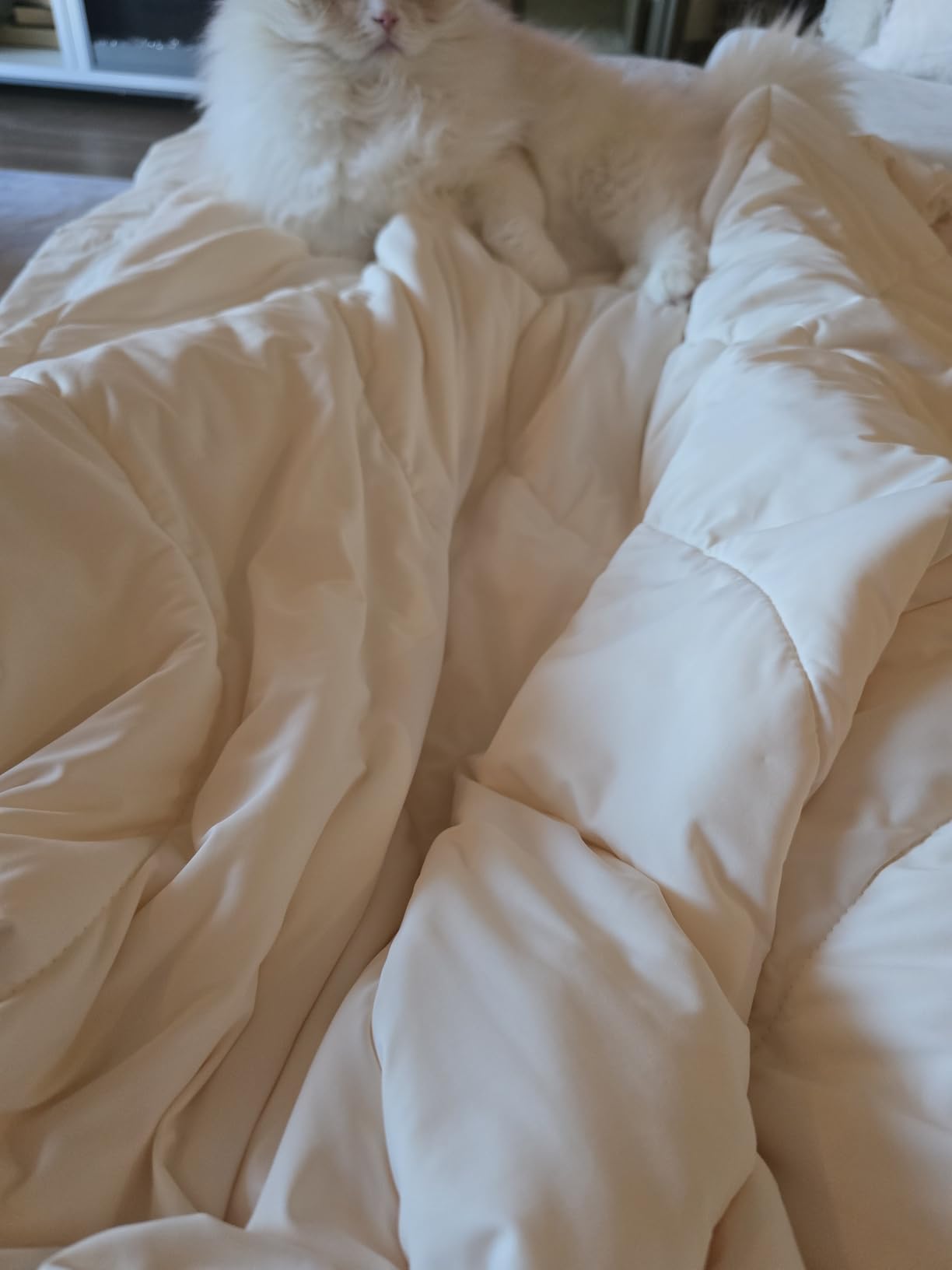 REST® Evercool® Cooling Comforter Blanket for Hot Sleepers, Full/Queen customer photo 1