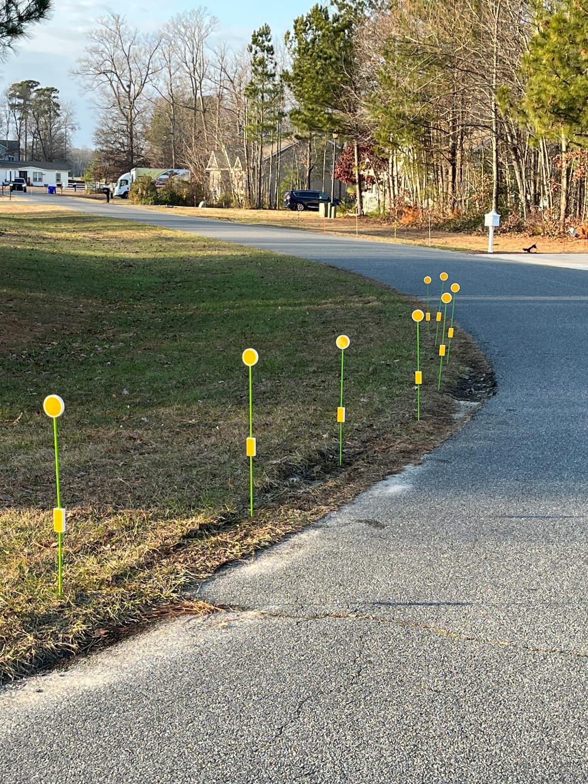 LOMNYIY Driveway Markers Reflectors,Reflective Driveway Markers for Snow Plowing, 51Inch Fiberglass Pole Double Sided Reflectors for Driveway,Different Heights of Reflective (4Pcs) customer photo 2