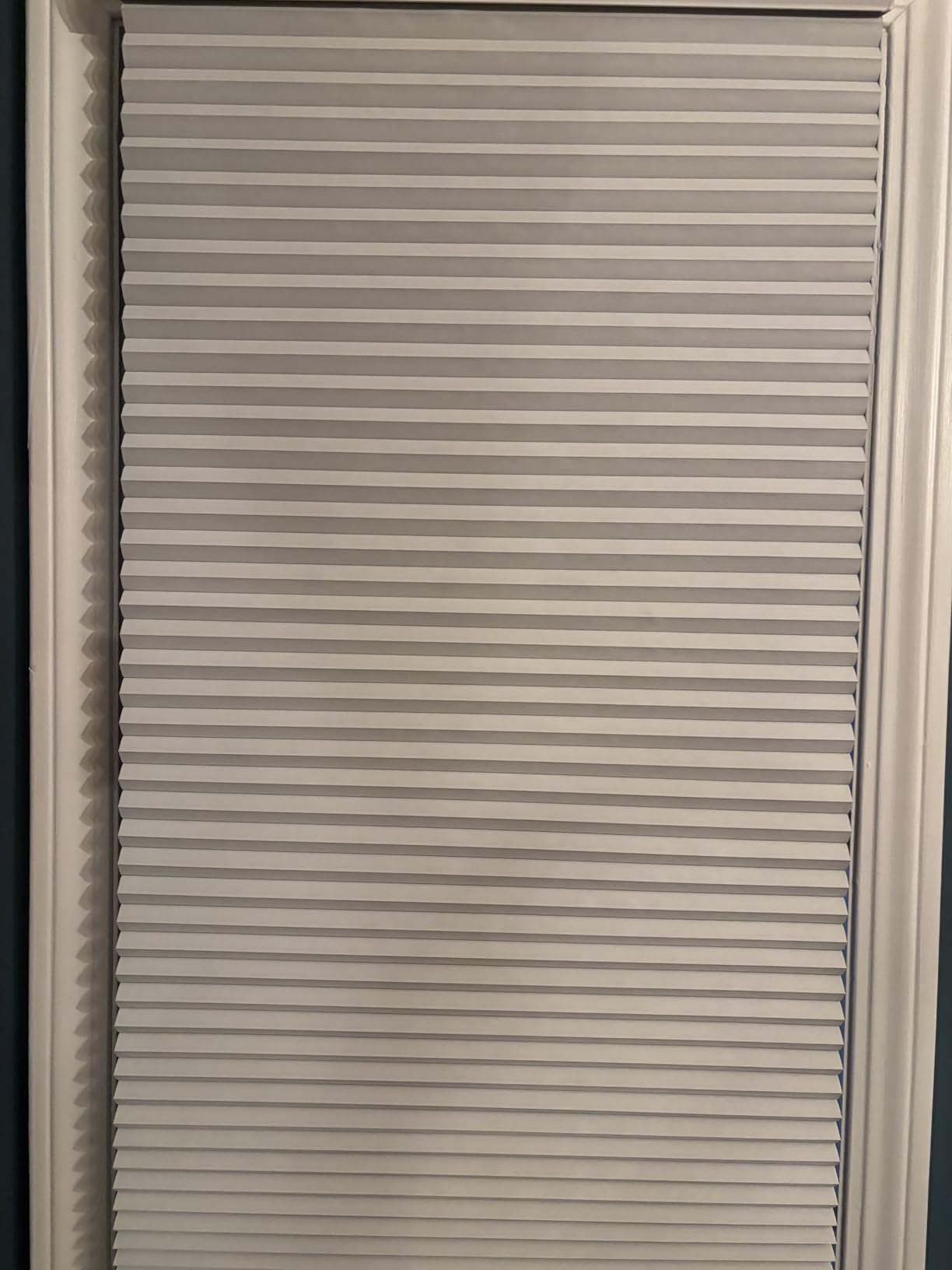 MYshade Custom Cordless Blackout Cellular Shades for Windows, Honeycomb Window Shades with Thermal Insulation, Child & Pet Safe Room Darkening Shade, Easy Install, Custom Size, White customer photo 2