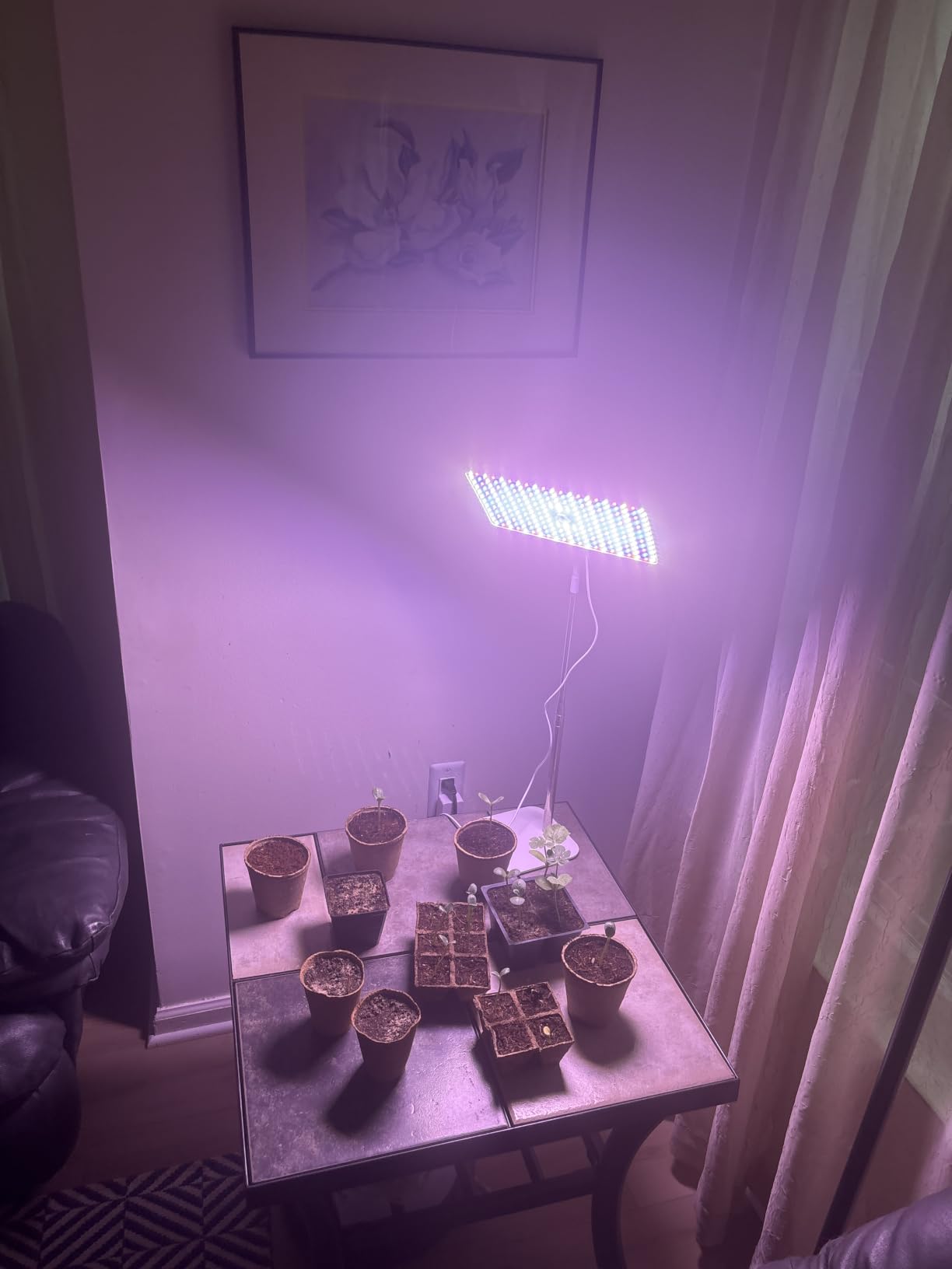LBW Desk Grow Light, 214 LEDs Full Spectrum Plant Light for Indoor Plants customer photo 2