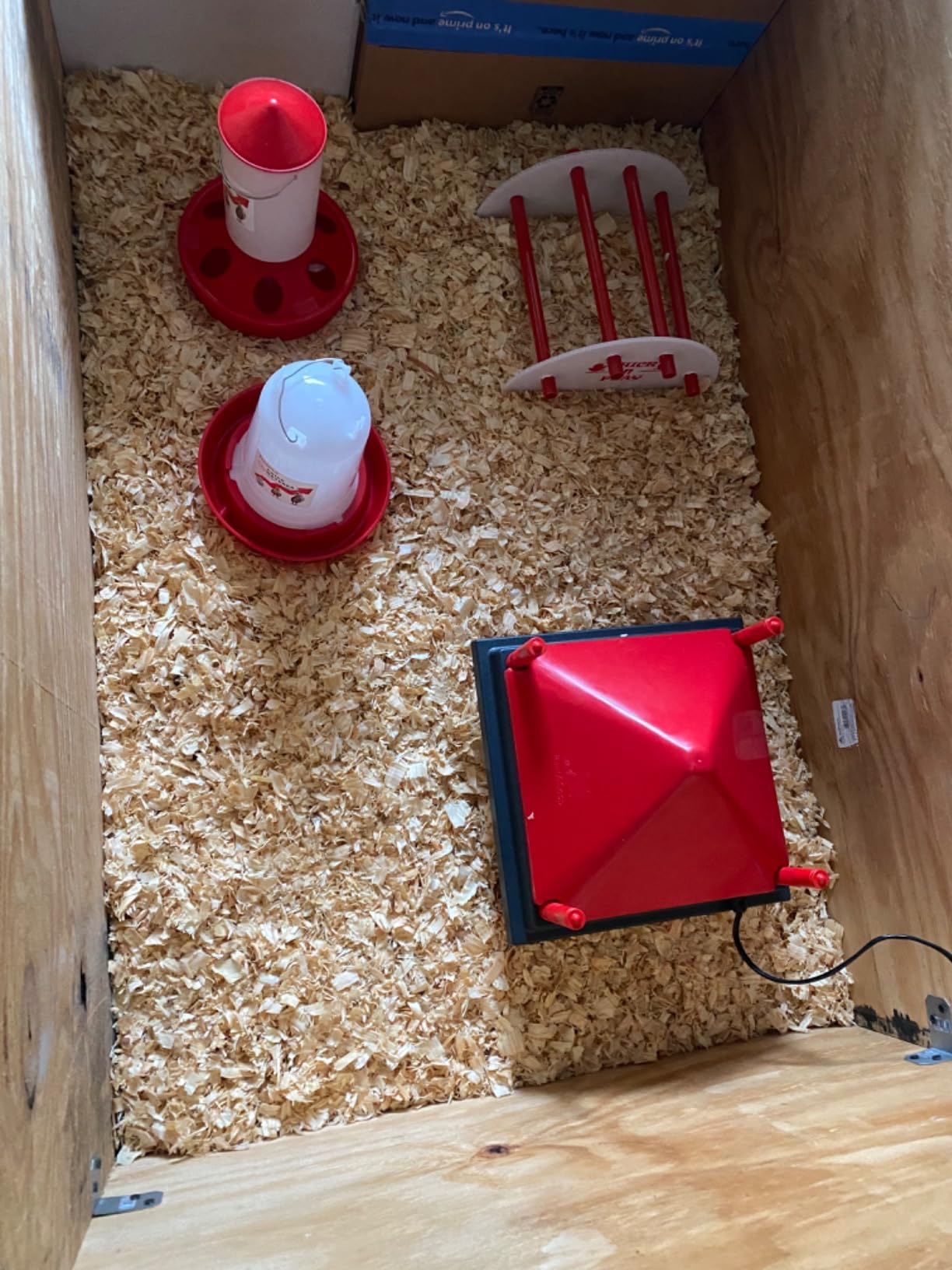 2-in-1 Chick Starter Set: Top Filling 0.8 Gal Feeder & 0.4 Gal Waterer Red customer photo 1