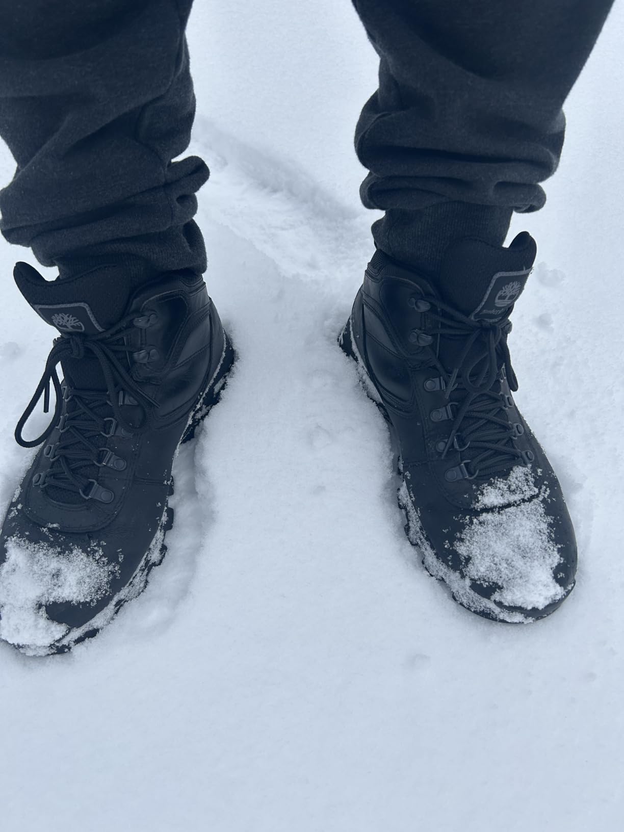 Timberland Men's Mt. Maddsen Hiking Waterproof Boots customer photo 2