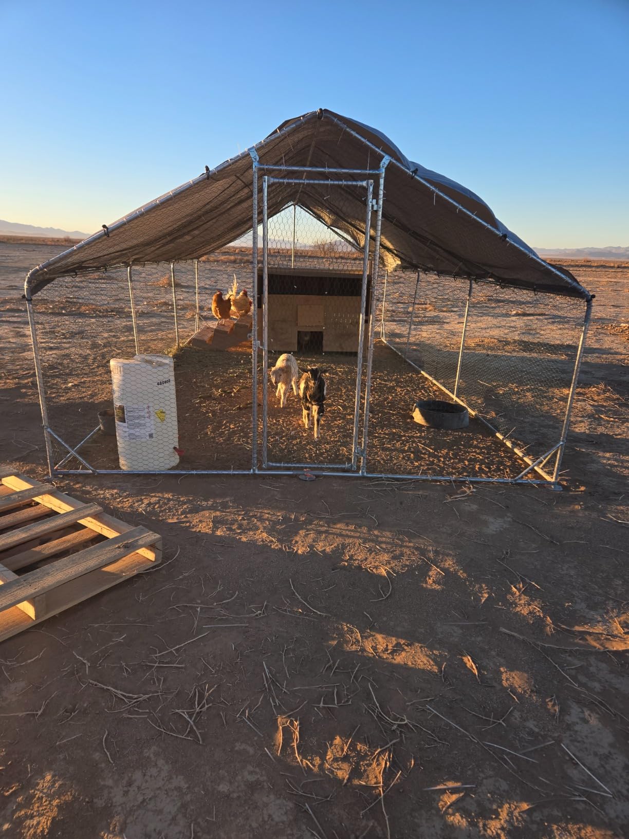 Outdoor Metal Chicken Coop Large Walk-in Poultry Cage Spire-Shaped Chicken Run with Waterproof and Anti-Ultraviolet Cover for Outside,Backyard and Farm,13' L x 9.8' W x 6.4' H customer photo 1