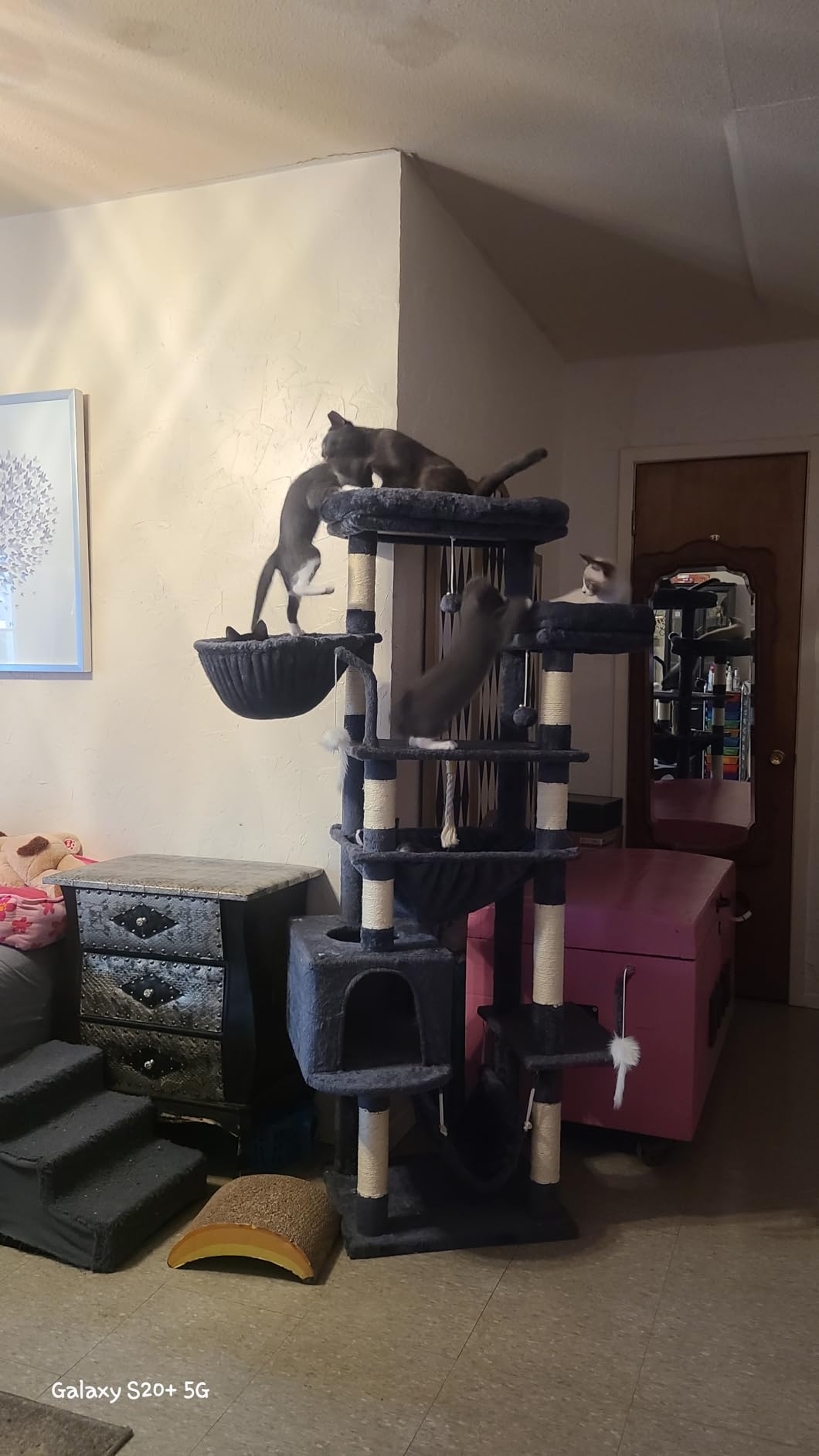 Gitelsnour Cat Tree, 63'' Cat Tower for Large Cats, Big Hammock GCT020G | Cat Condo, Cat Scratching Posts for Indoor Adult Cats, 4 Platforms (2 Big 2 Small), 2 Baskets, Sisal Rope, 4 Toys, Smoky Gray customer photo 1