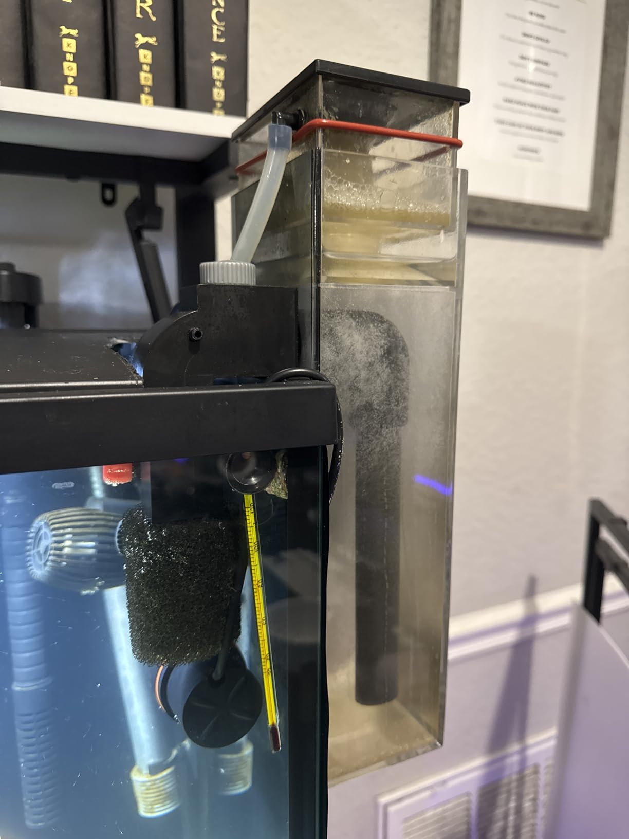 Coralife Hang on Back DC-Controlled Mini Protein Skimmer for Saltwater Aquariums | Aquarium skimmer with variable speed pump, inline remote control, small footprint for reef aquarium sumps customer photo 2