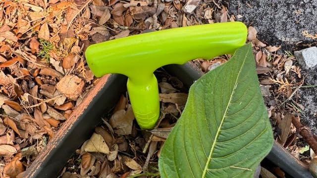 Seed Planter Tool, T-Handle Seed Dibber, Green, 1 Pack customer photo 1