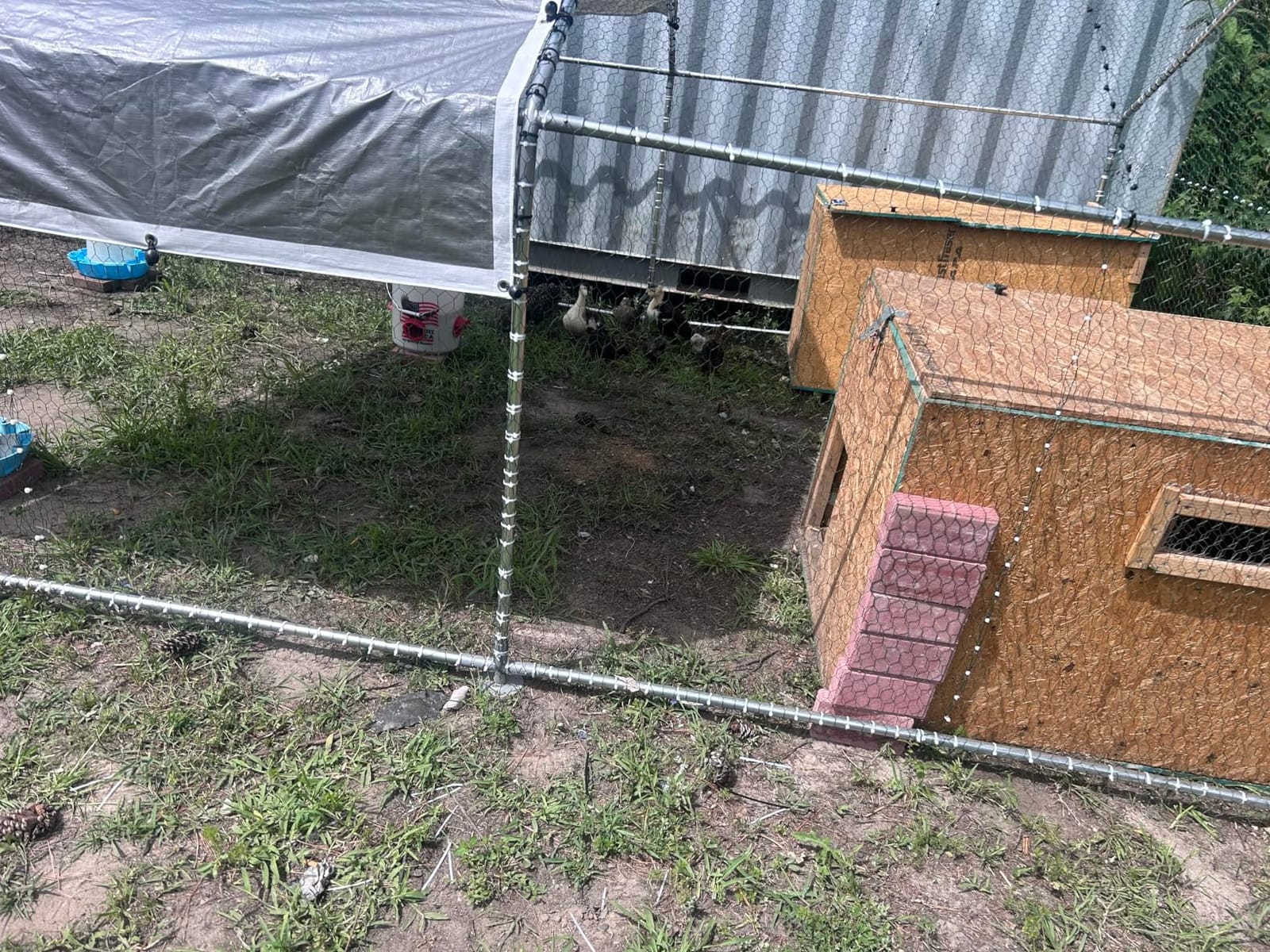 NUGRIART Large Metal Chicken Coop Walk-in Poultry Cage with Water-Resident and Anti-UV Cover Duck Rabbit Cat House Outdoor Chicken Run Pen with Spire Shaped Cage customer photo 2