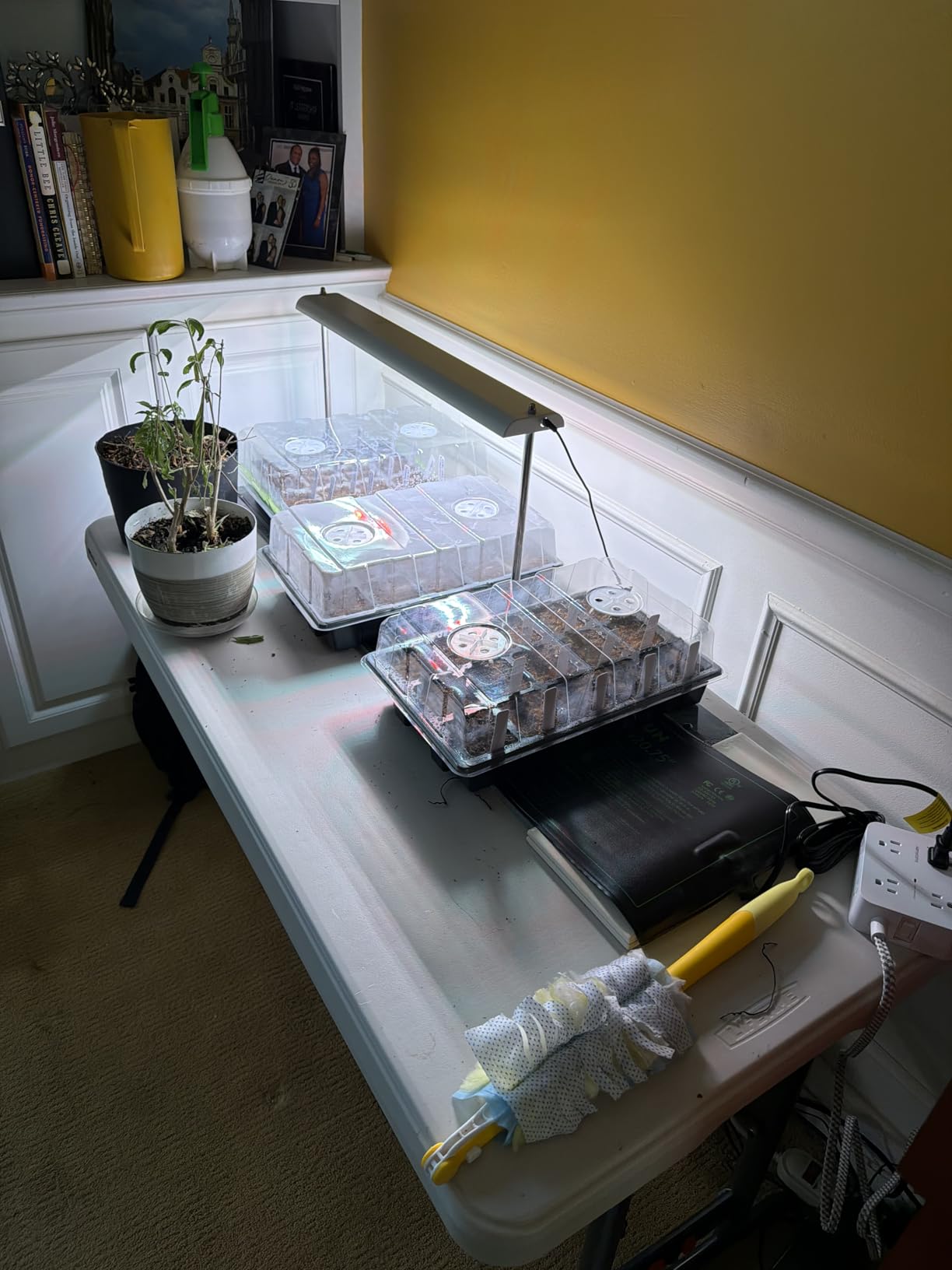 FOXGARDEN Grow Light Stand, Advanced LED Plant Growth Lighting with 4/8/12H Timer, 6 Dimming Options, and Adjustable Height - Optimal for Indoor Plants in Seedlings, Vegetative, and Flowering Phases customer photo 1