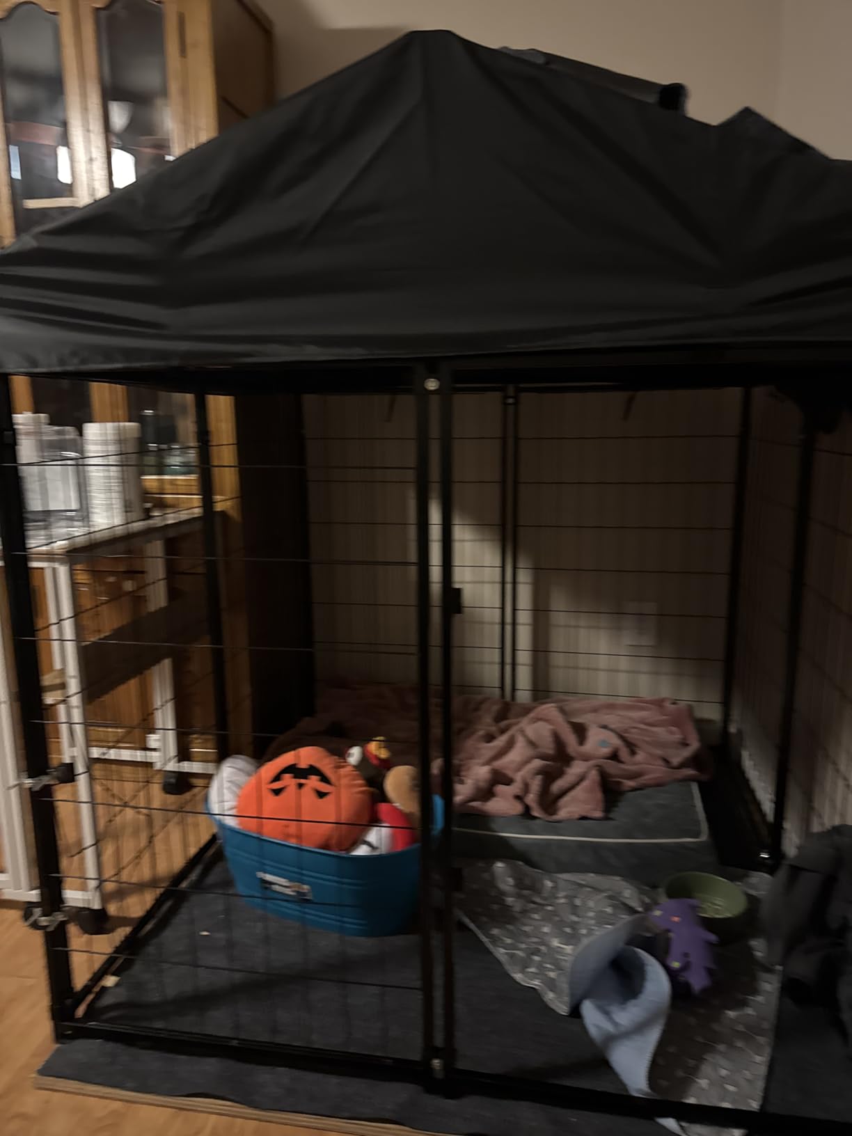 Dog Kennel Outside with Roof, 8'x6'x4' Outdoor Dog Kennel | Heavy-duty Welded Steel, UV-resistant Waterproof Roof, Dual Locks, Dog Crate Playpen with Ground Stake for Large Dogs customer photo 2