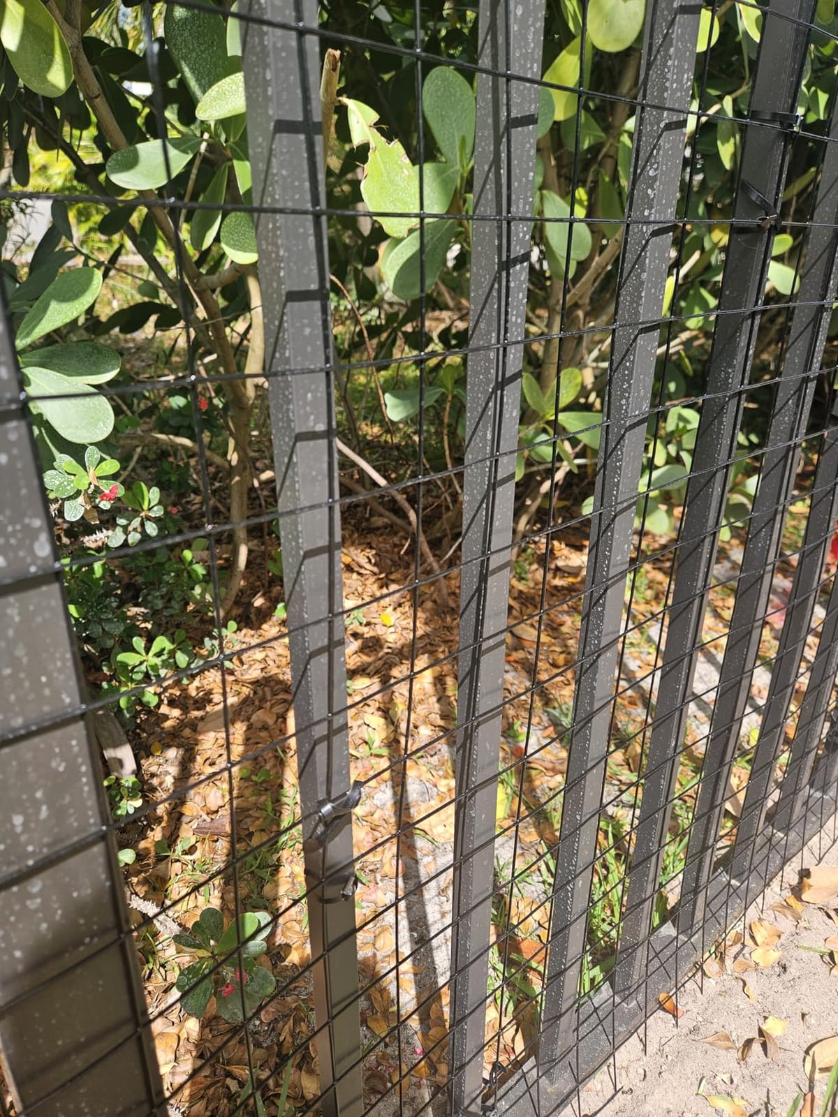 GILPWA Wire Fence, 36 in(H) X 50 ft(L) PVC Coated Welded Wire Fencing 2