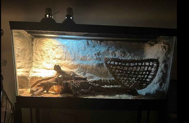 40 Gallon Metal Fish Tank Stand, Aquarium & Terrarium Stand for Home Office customer photo 2
