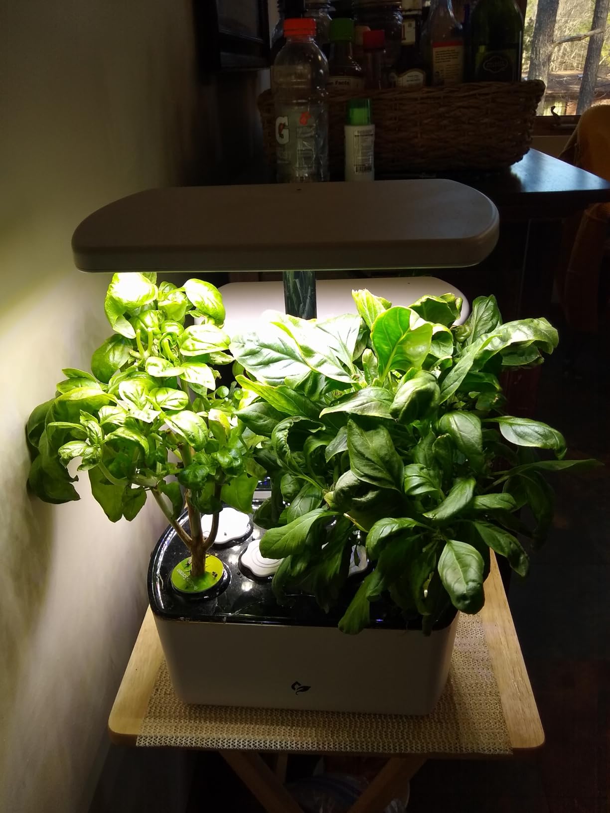 AeroGarden Harvest Lite, Black customer photo 1