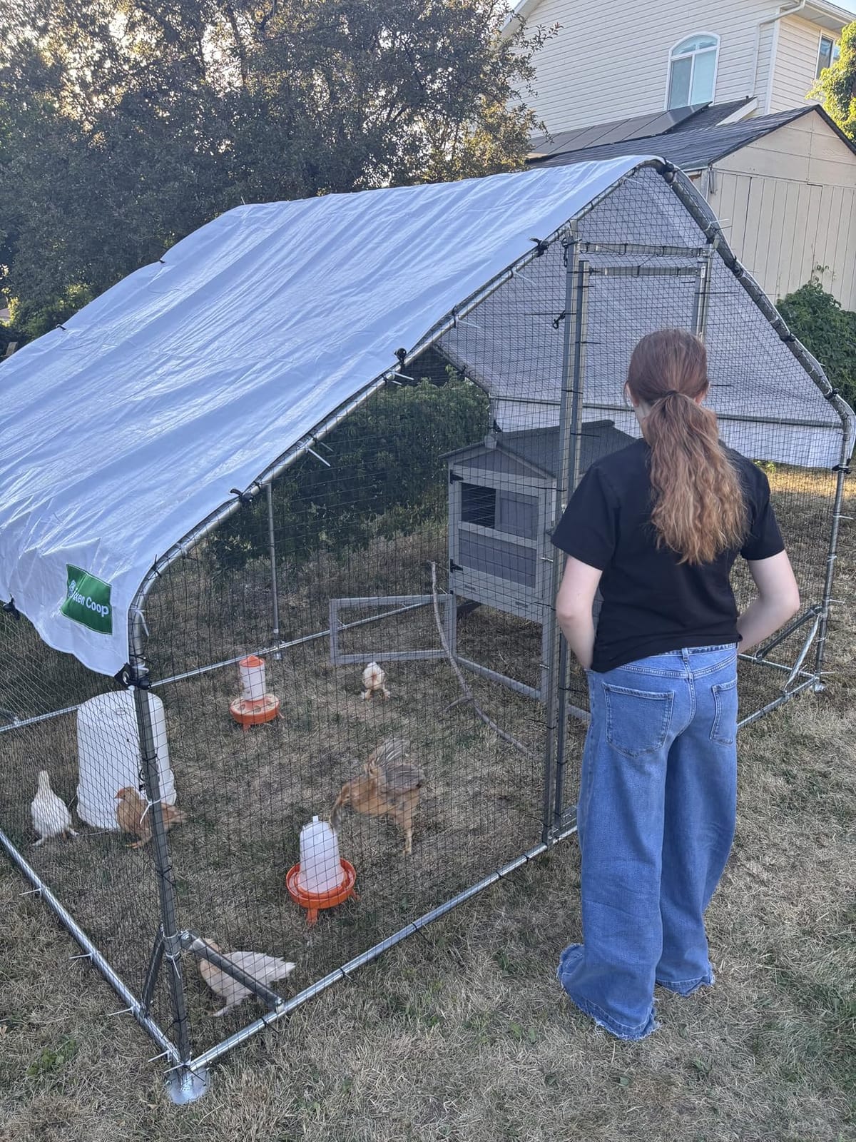 Heavy Duty Metal Chicken Coop with Hardware Cloth (235