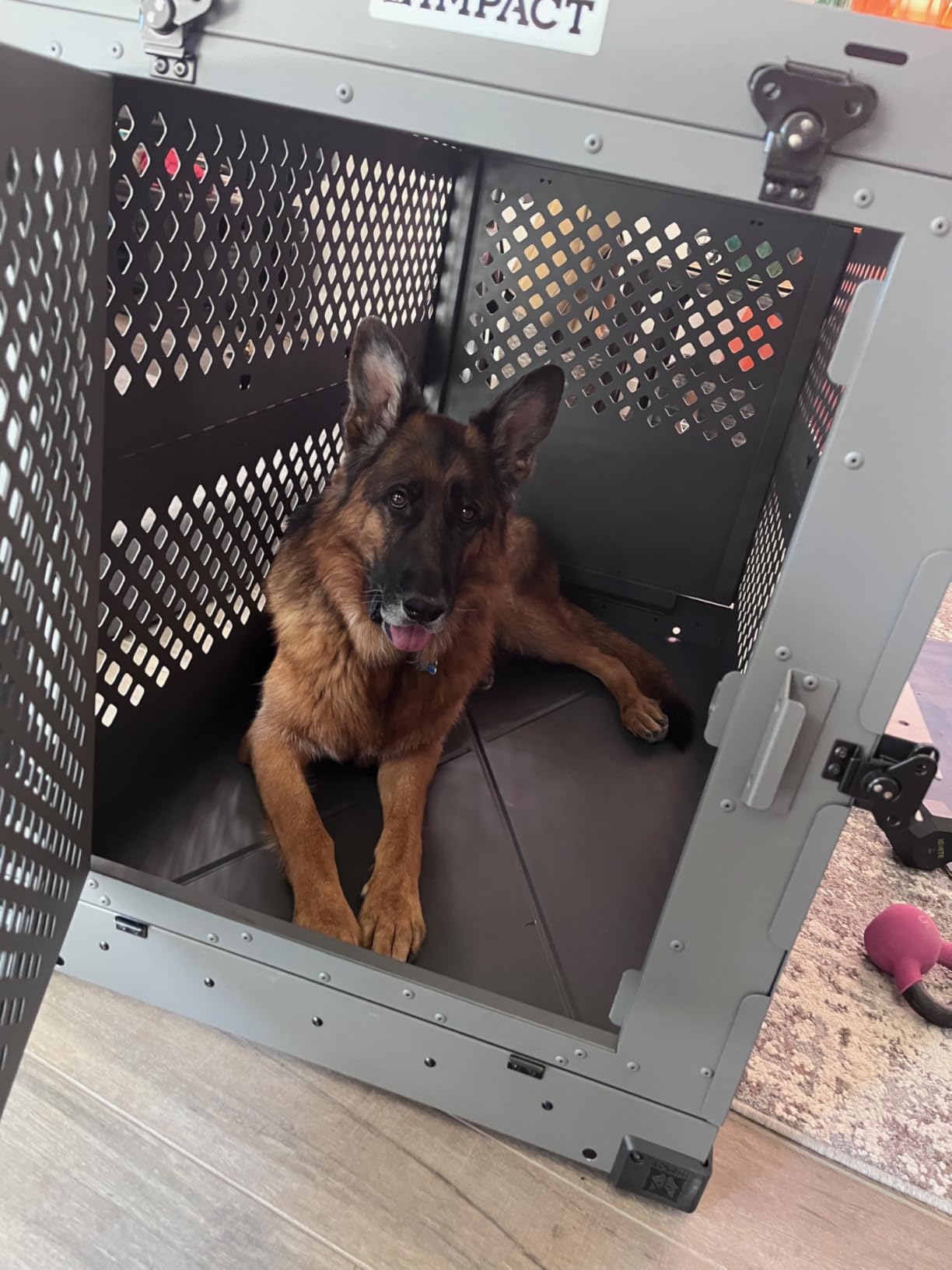 Impact Collapsible Dog Crate - Heavy Duty Travel Aluminum Kennel, Black 30 Inch | Quick Setup for Indoor & Outdoor customer photo 1