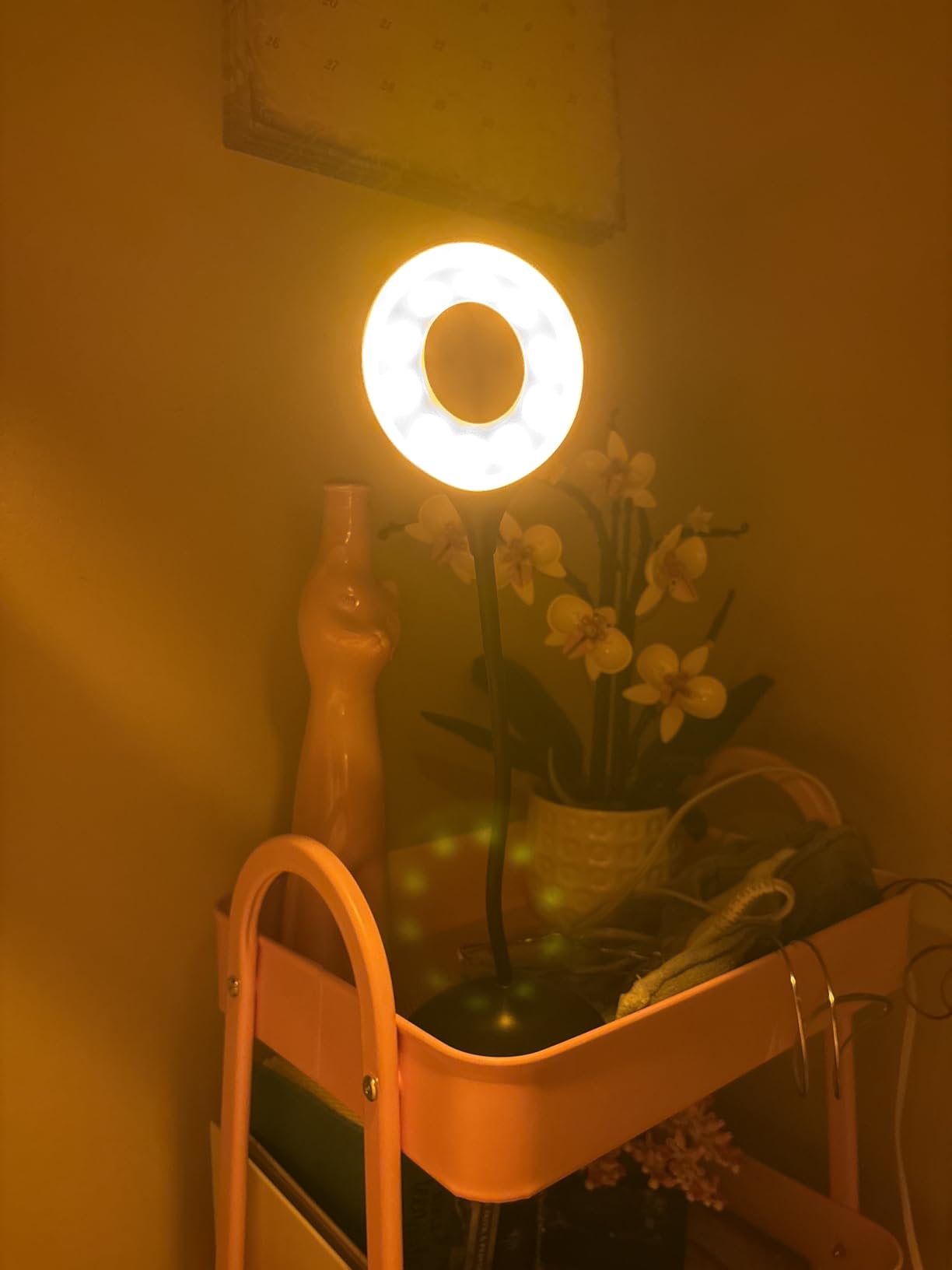 hooga Desk Lamp, Blue Light Blocking, 3 Modes: Amber 1600K, Red, Full-Spectrum 4000K, Dimmable, Rechargeable, Eye Strain Relief, Circadian Friendly customer photo 1