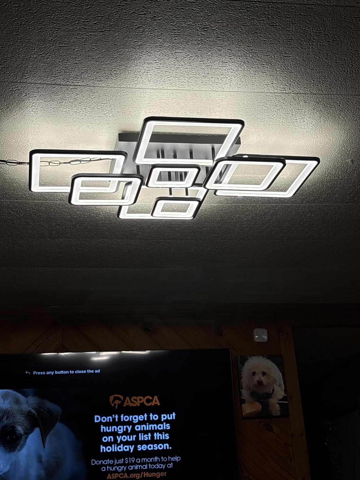Shine LUEST Modern LED Ceiling Light, Dimmable LED Chandelier Black Flush Mount Ceiling Lights, Remote Control Acrylic Ring Ceiling Lamp Fixture for Living Room Dining Room Bedroom, 8H-FANG-BL-04 customer photo 2