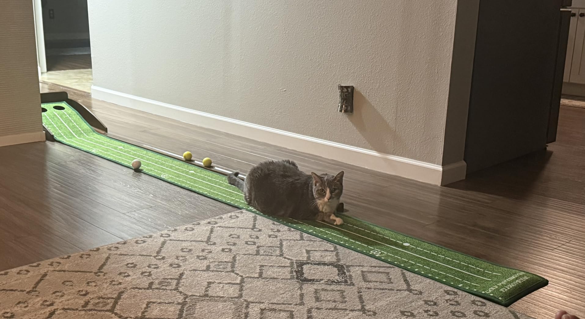 Putting Green Putting matt for Indoors Golf Putting Mat - Indoor Putting with Ball. Putting matt for Golf Practice, Portable and Easy to Clean. Great Gift customer photo 2