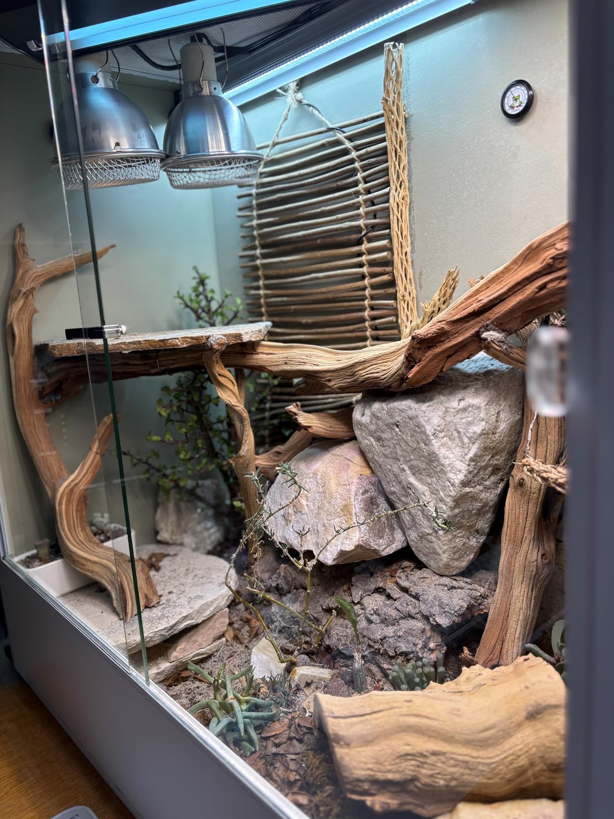 REPTI ZOO 67 Gallon PVC Tall Reptile Tank, 24 x18x36 inch Large Reptile Terrarium for Gecko Lizard Chameleon Frog Snake, Enclosure Habitat with Sliding Door & Top Screen Ventilation customer photo 1