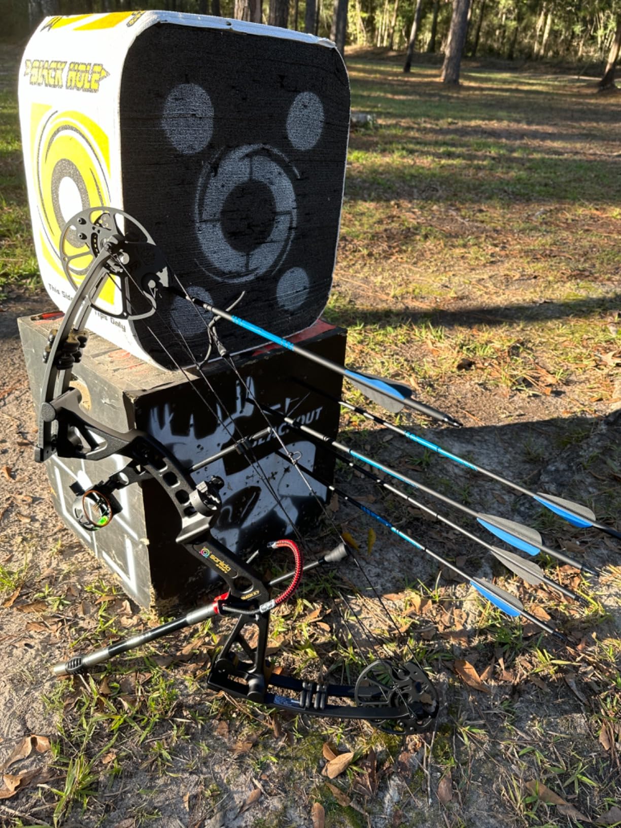 Sanlida Dragon X7 Ready to Hunt Compound Bow Package for Adults, Archery Compound Bow and Arrow Set, 0-70 Lbs Draw Weight, No Bow Press Needed, RH Only, Limited Life-time Warranty customer photo 1
