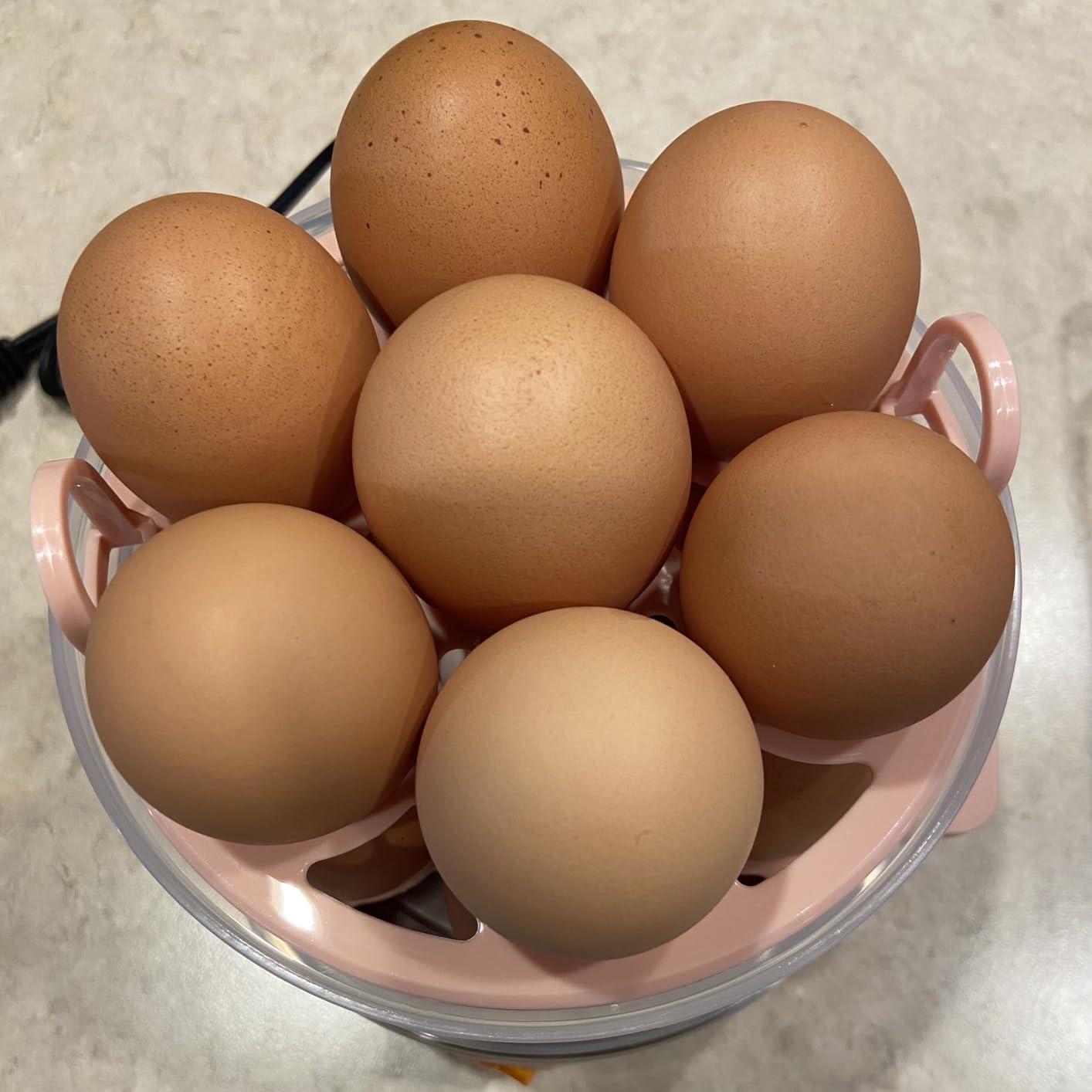 bella 14-Egg Capacity Cooker & Steamer, Double Stack, 360 Watt, Oatmilk customer photo 1