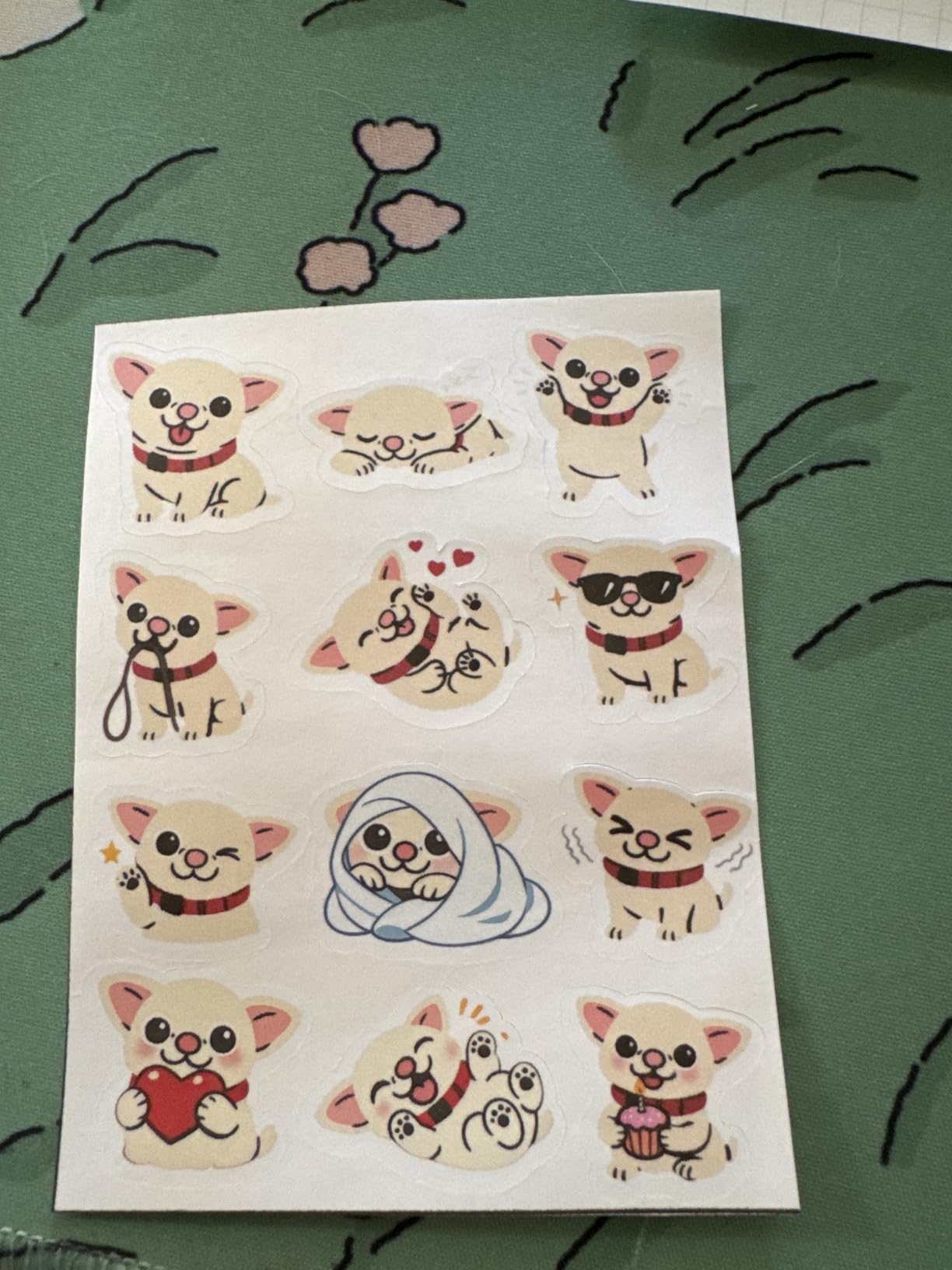 Cricut Joy Smart Cutting Machine | Writable Vinyl Starter Kit customer photo 1