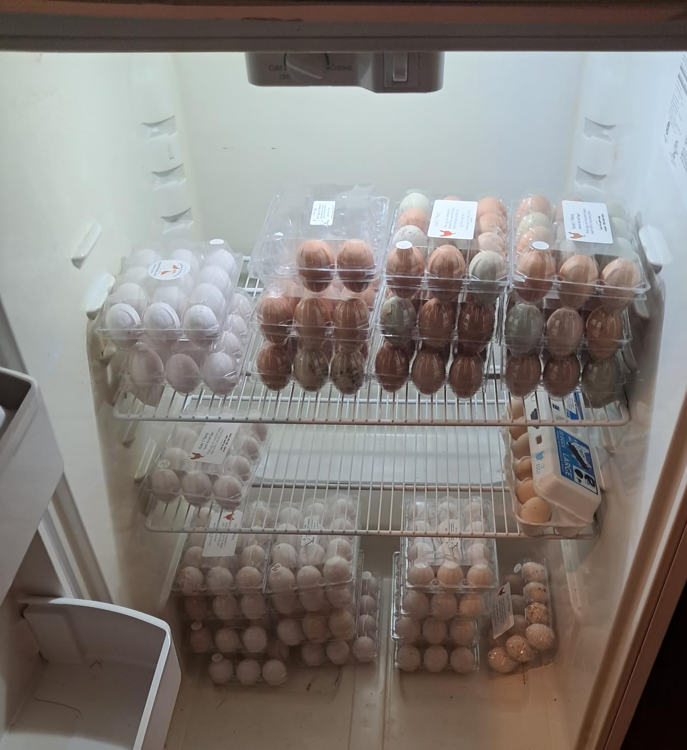 SINLUCESCE 60 Packs Egg Cartons Cheap Bulk, Plastic for 12 Eggs, Clear Egg Cartons 2 x 6 Grids, Perfect for Refrigerator Family Farm Commercial Business Market Display customer photo 1