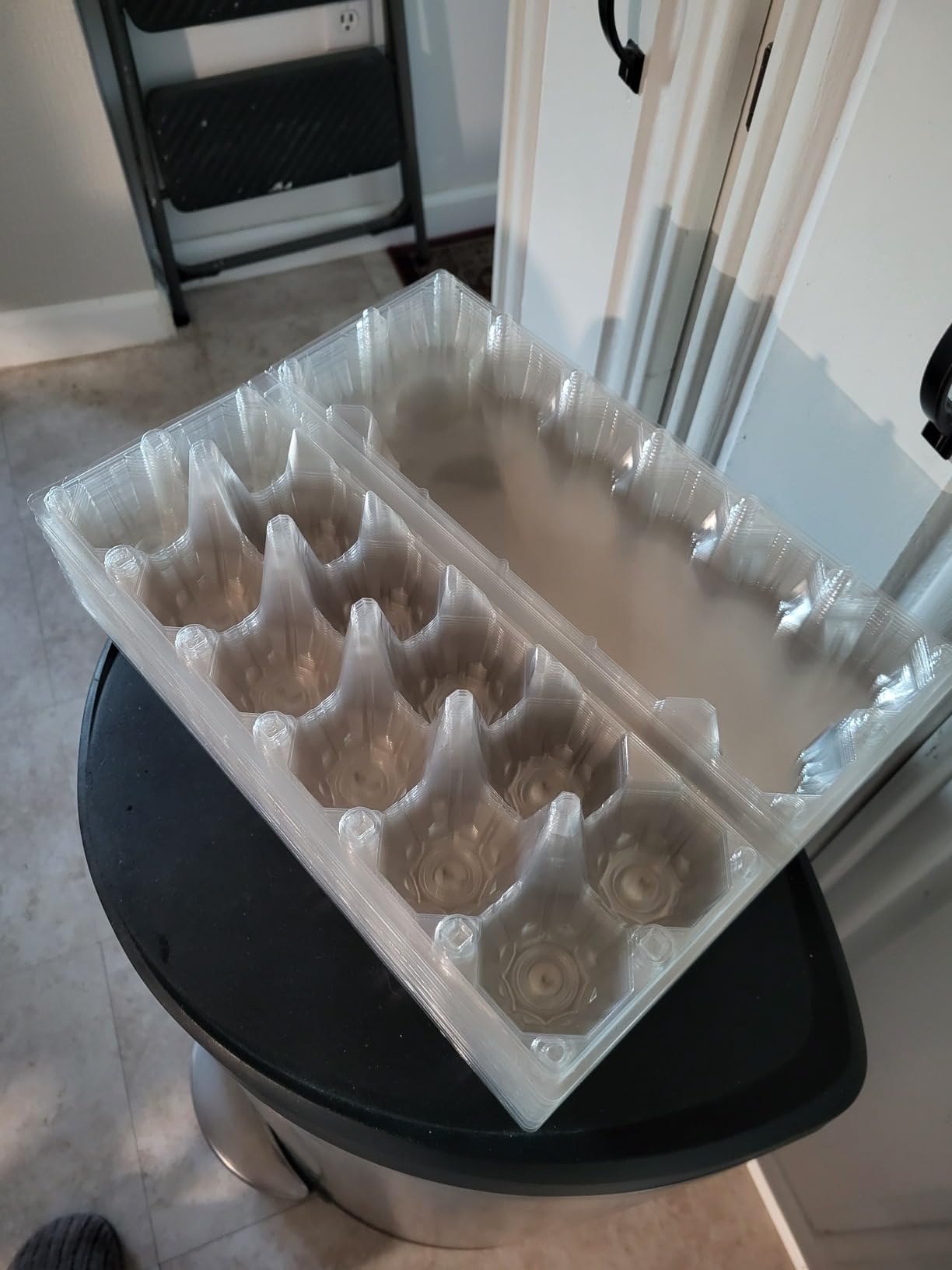 SINLUCESCE 60 Packs Egg Cartons Cheap Bulk, Plastic for 12 Eggs, Clear Egg Cartons 2 x 6 Grids, Perfect for Refrigerator Family Farm Commercial Business Market Display customer photo 2