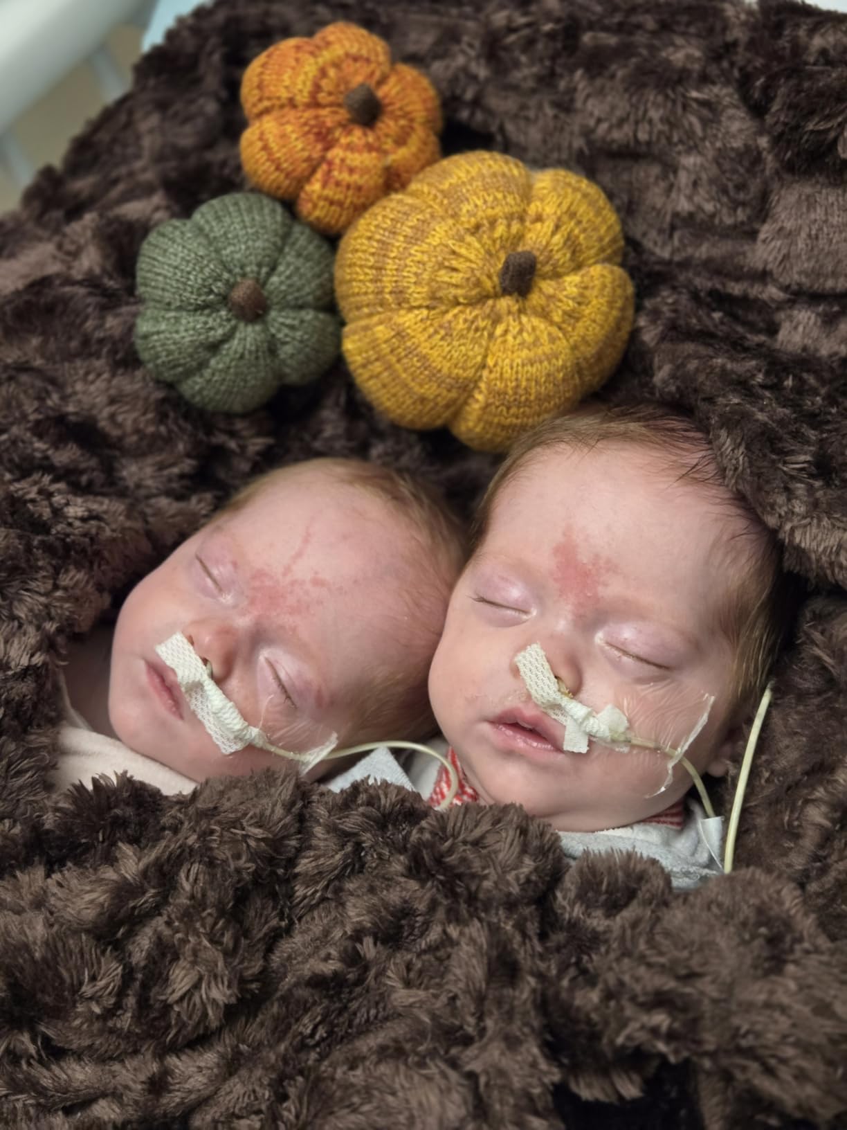 Your Heart's Content Mini Knit Pumpkins Set of 5, Fall Décor (Autumn Set) customer photo 2