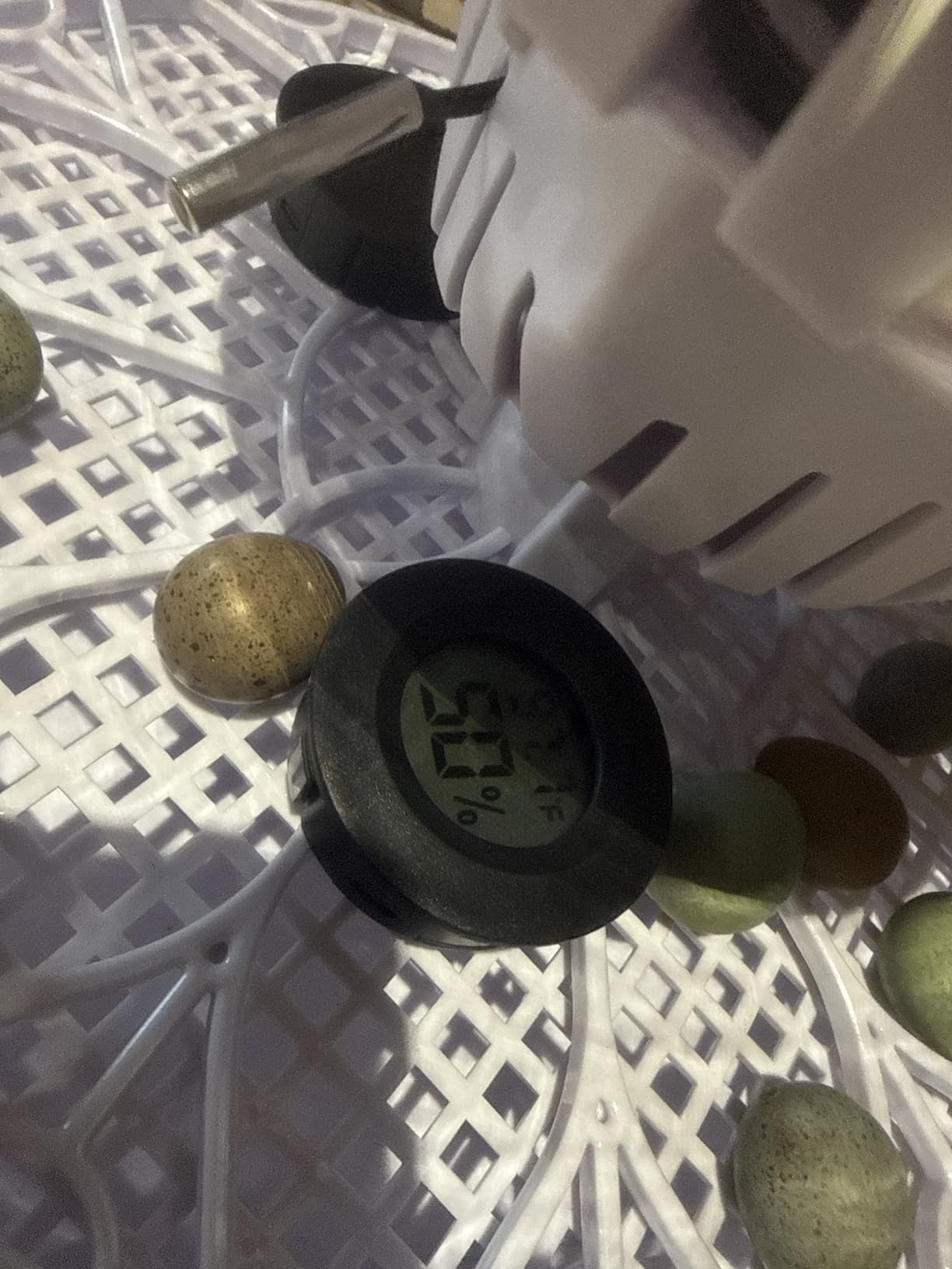 Series I - 12 Egg Incubator for Beginners, Auto Egg Turn, Steady Self-Regulating Humidity & Consistent Temperature Control for Hatching Chicken, Goose, Duck, Quail, Pigeon, and Turkeys customer photo 2