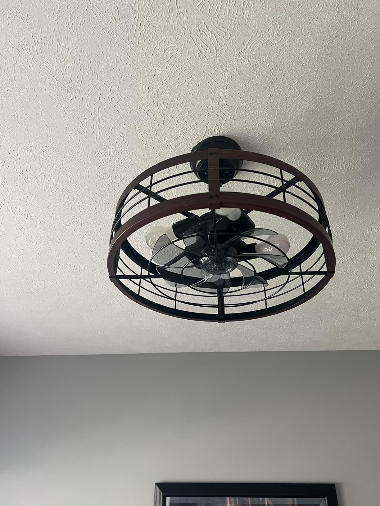 LEDIARY 20 inch Fandelier Caged Ceiling Fan with Light and Remote, Black customer photo 1