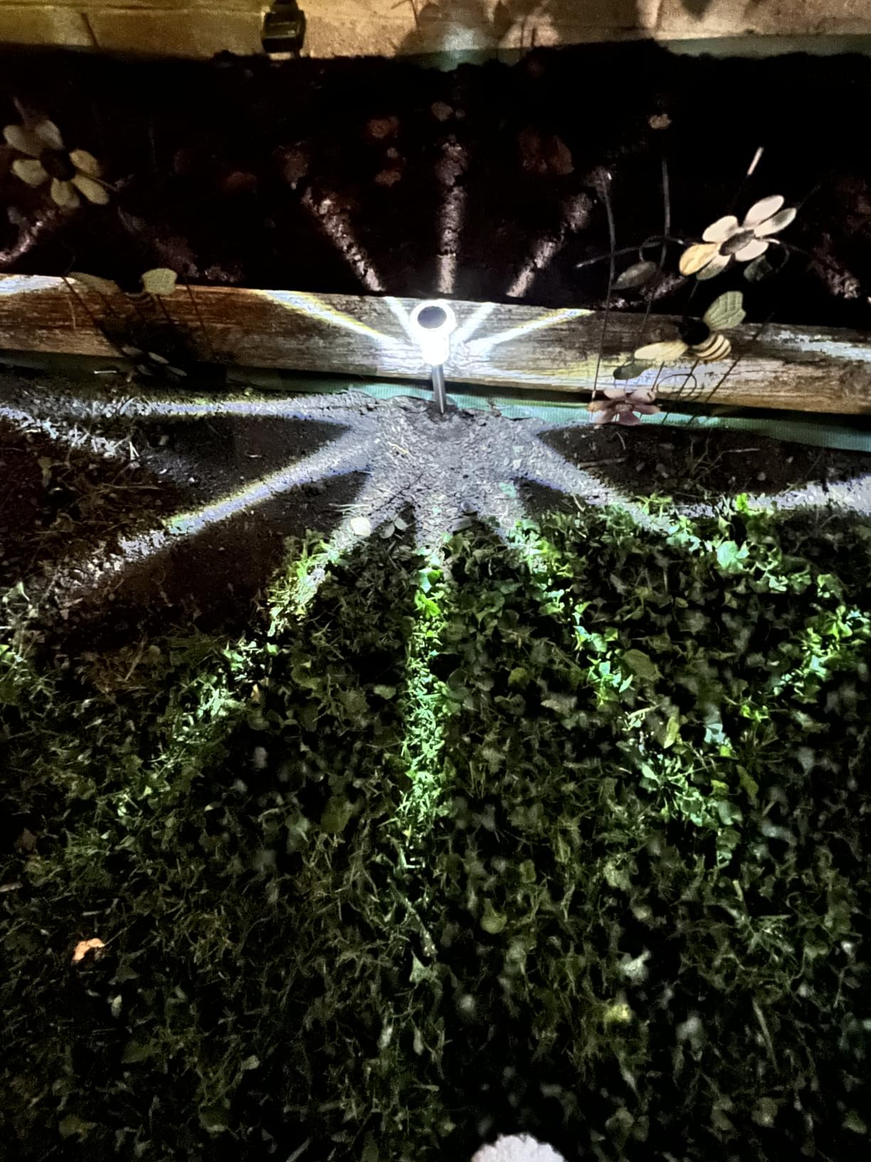 DenicMic Solar Halloween Lights Outdoor Waterproof 10 Pack Halloween Decor customer photo 2