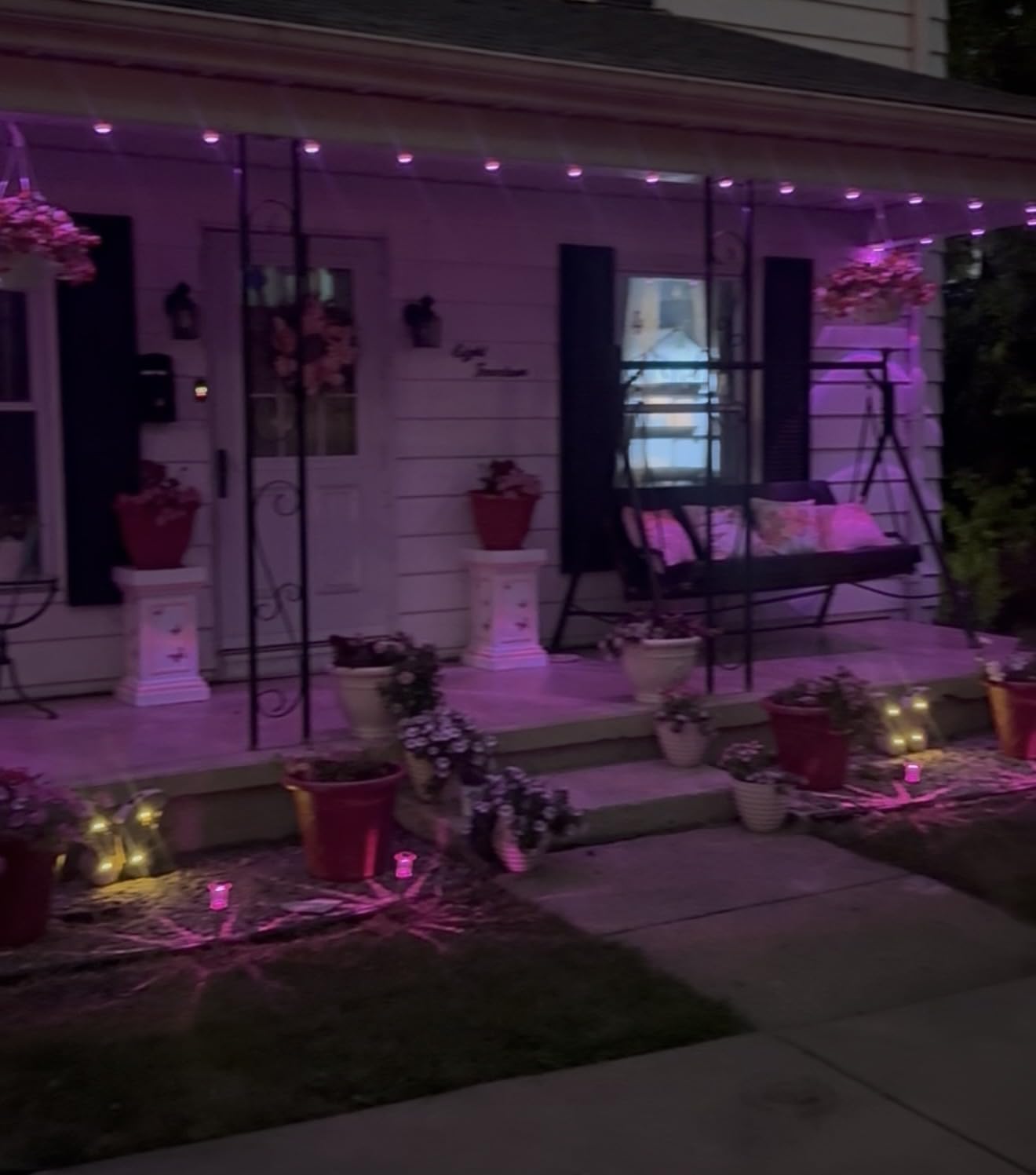 Halloween Solar Lights Outdoor 10 Pack LED Purple Pathway Lights customer photo 2