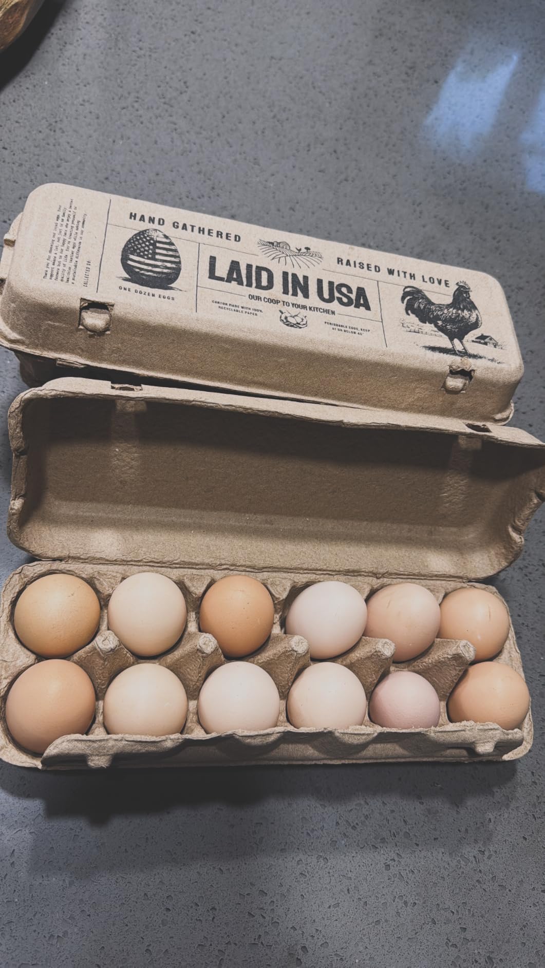Hatortempt 24pc Egg Cartons Cheap Bulk 12 Count, Reusable Dozen Egg Crates customer photo 2