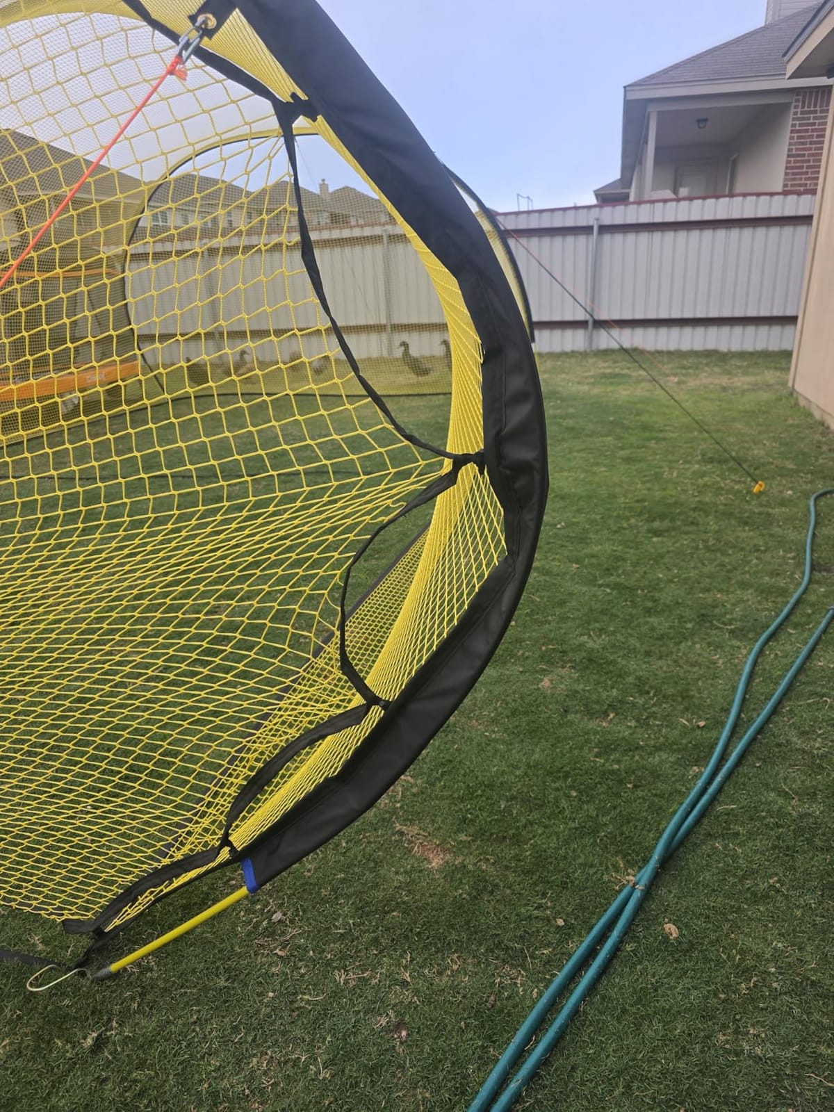 Apex Sports Portable Batting Cage 22x12x8 Ft, Baseball & Softball Net Cage customer photo 1