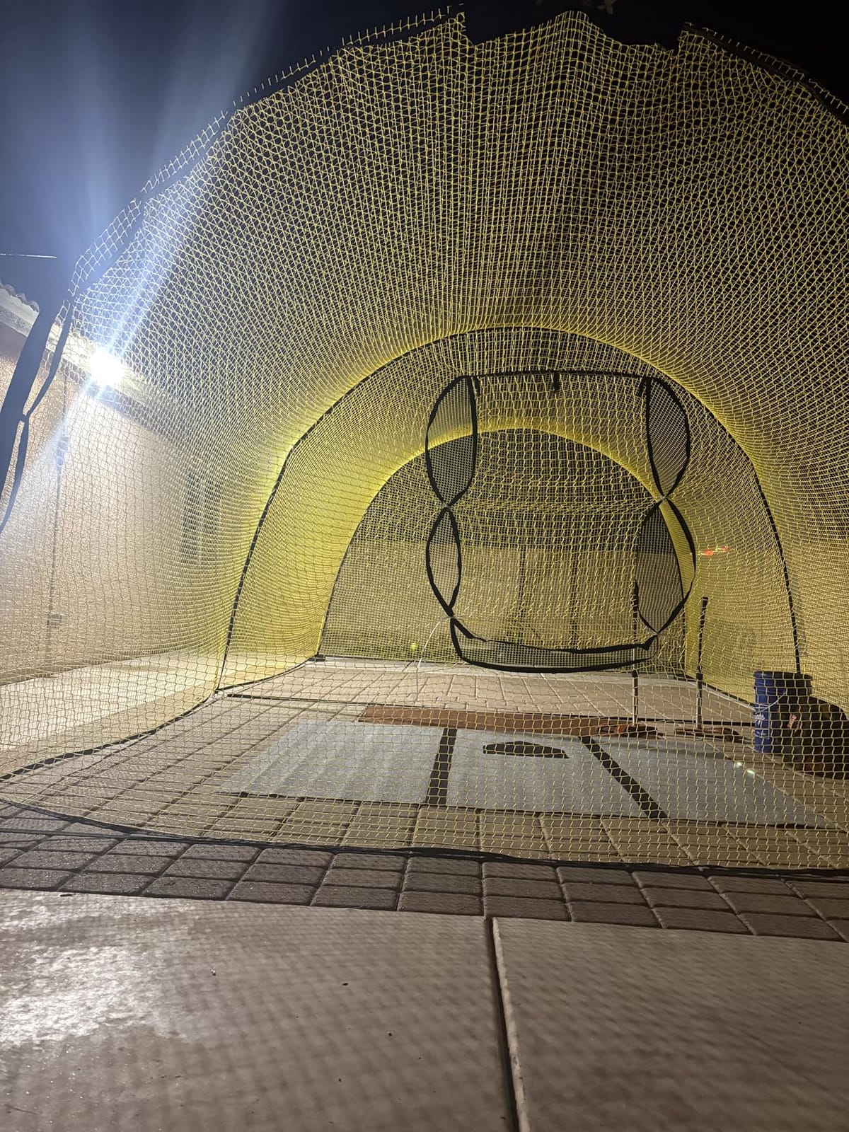 Apex Sports Portable Batting Cage 22x12x8 Ft, Baseball & Softball Net Cage customer photo 2