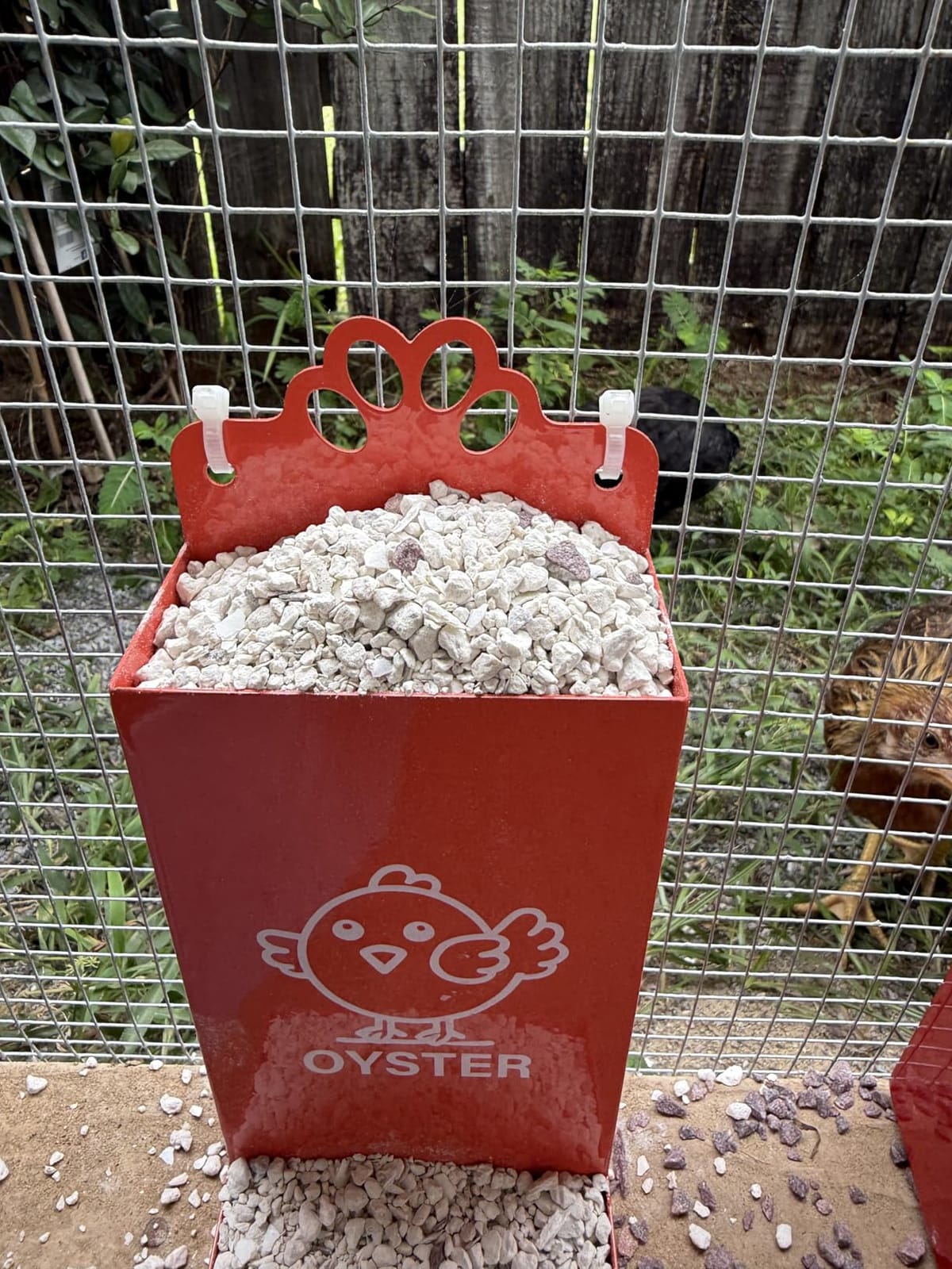 Rat Proof MAX-25Lbs Treadle Chicken Feeder No Waste Poultry Feeder customer photo 1