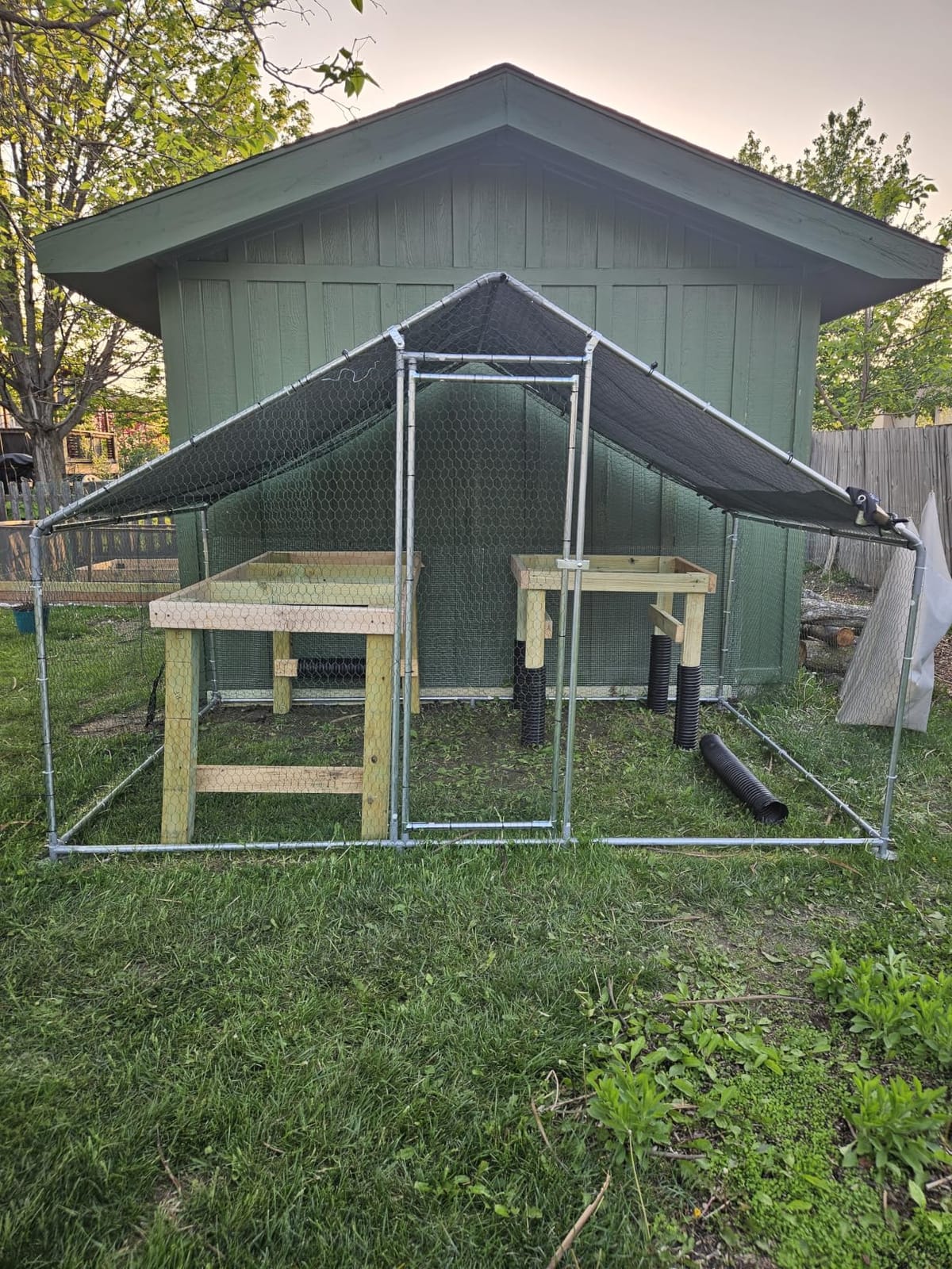 VEVOR Large Metal Chicken Coop, 9.8x13.1x6.5 ft Large Walk in Chicken Runs for Yard with Cover, Hen House Enclosure with Security Lock, Outdoor Duck Rabbit Cage Poultry Pen for Backyard, Farm, Yard customer photo 2