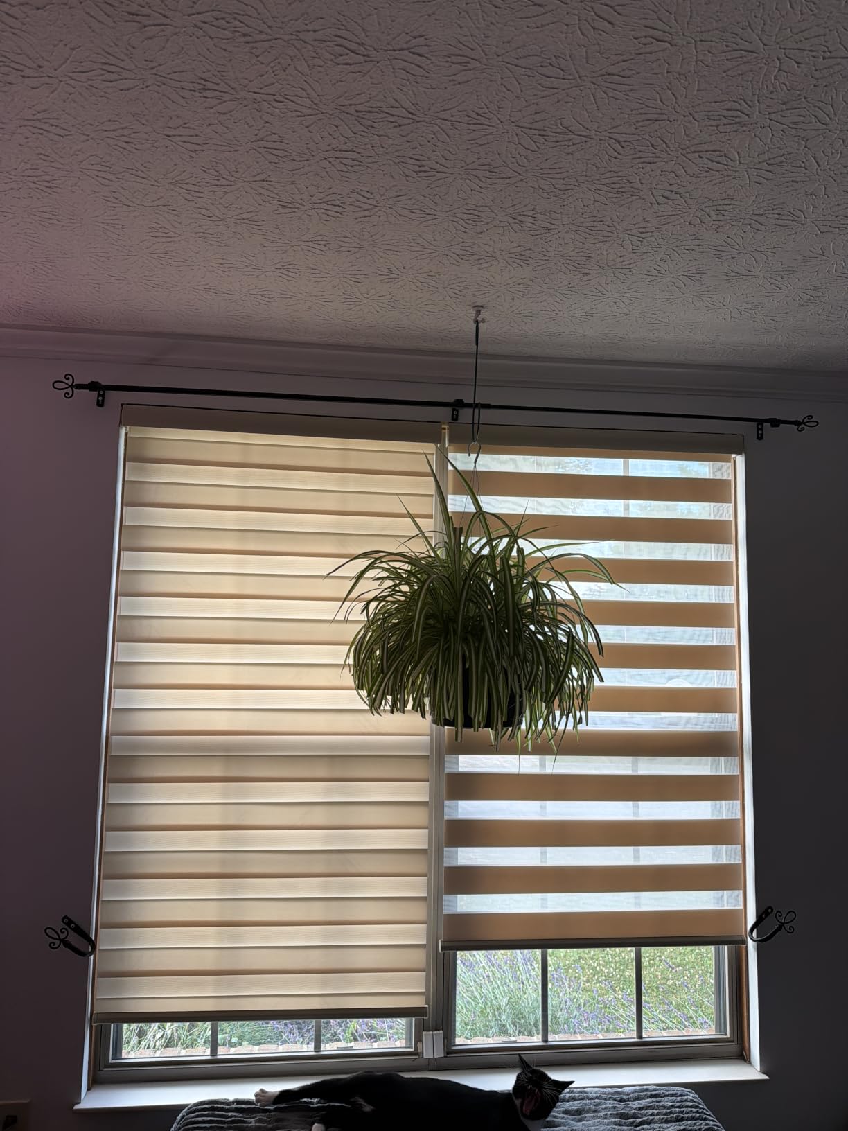 ChrisDowa Cordless Zebra Blinds for Windows, Light Filtering Roller Shades customer photo 1