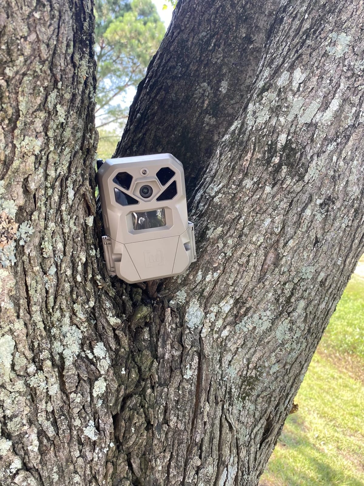 Moultrie Edge 2 Pro Cellular Trail Camera - Auto Connect Nationwide 4G LTE - On Demand 40MP Photo - 1440P Video with HD Audio - Ai False Trigger Elimination - 100 Ft Detection Range - No-Glow Flash customer photo 1